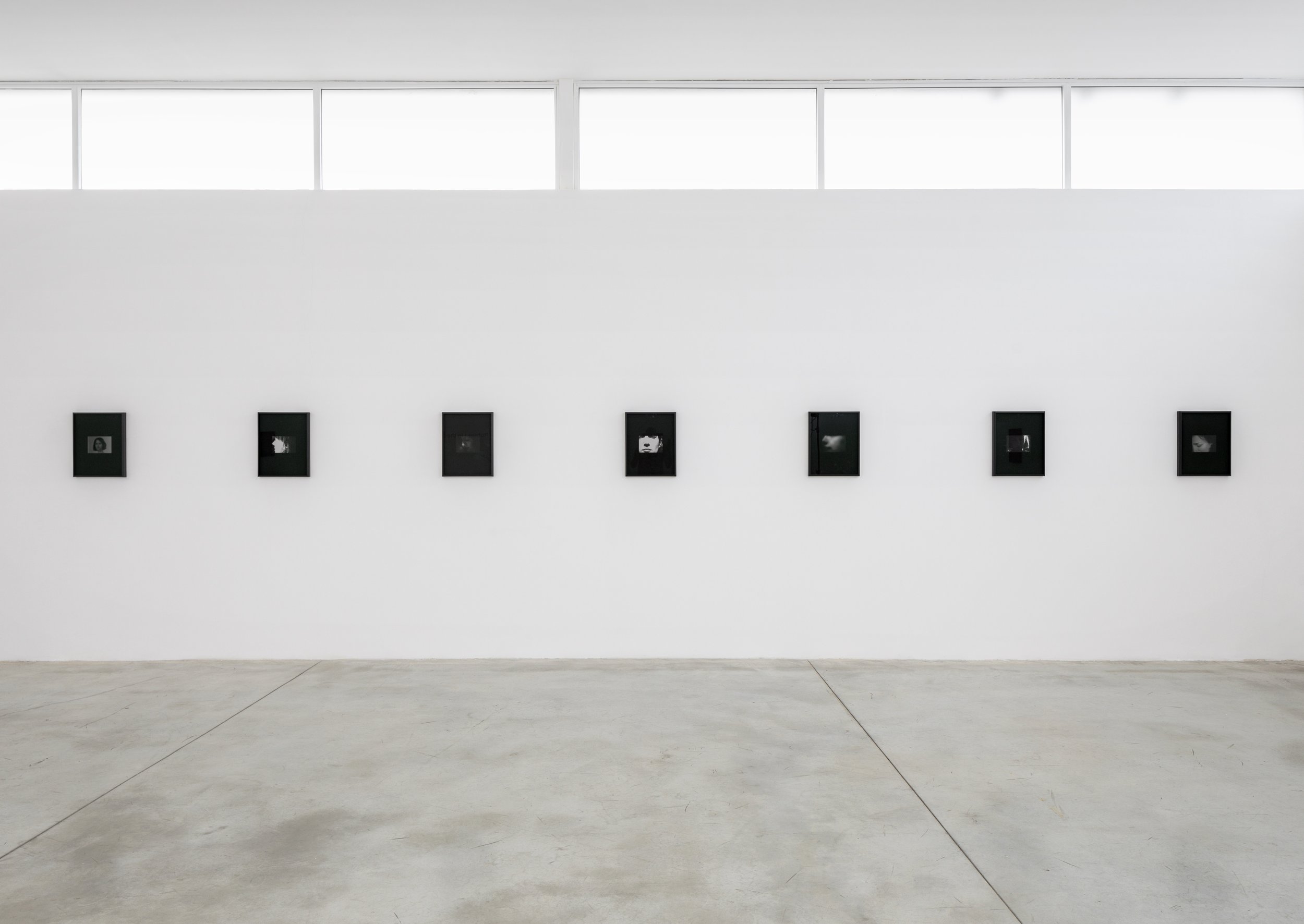 In the Sun's Shadow, Installation View 