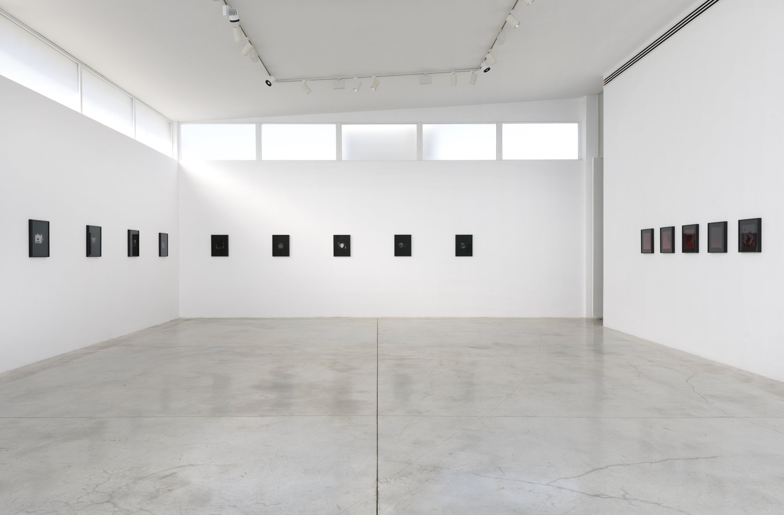 In the Sun's Shadow, Installation View 