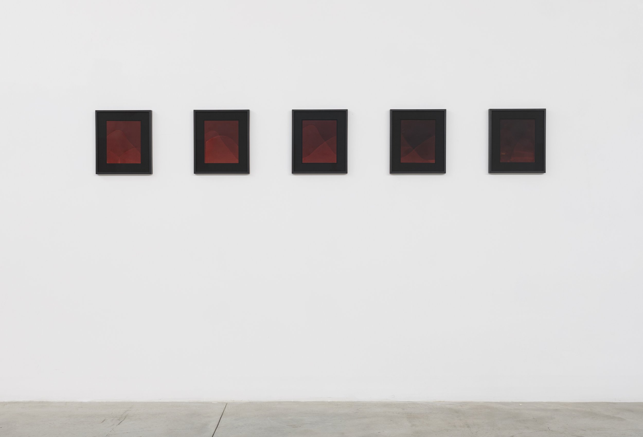 RED PHOTOGRAMS, Installation View 