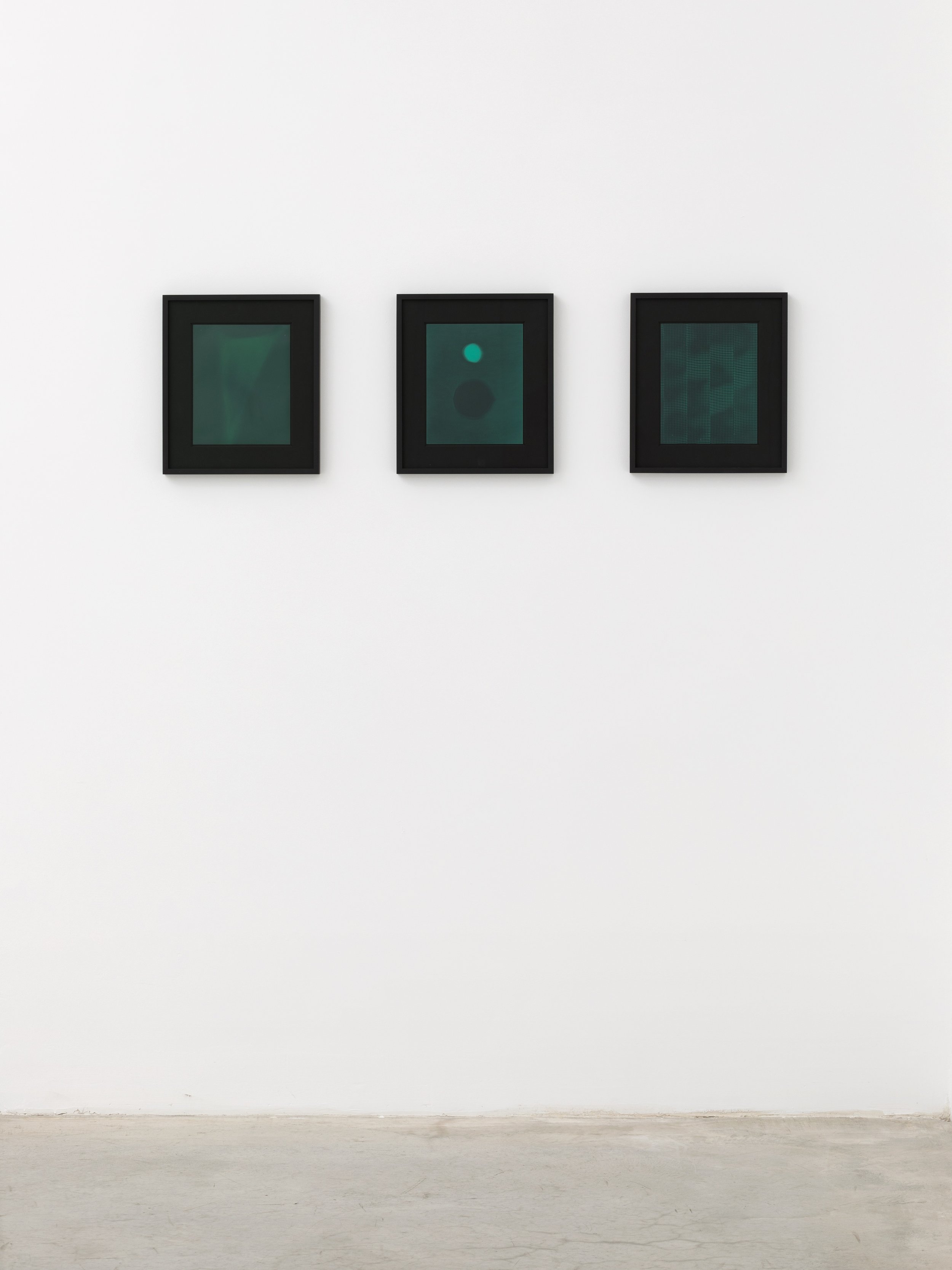 GREEN PHOTOGRAMS, Installation View 