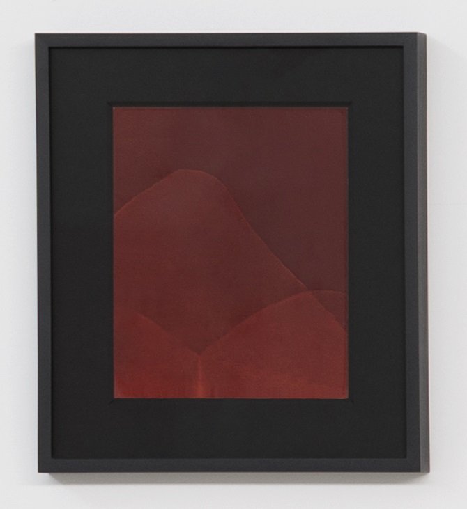 RED PHOTOGRAM