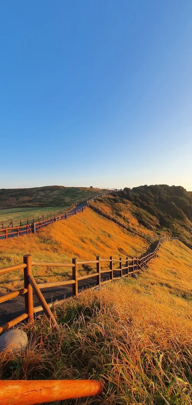 Your Land, Your Legacy: Flexible Conservation Easements for the Real-World 