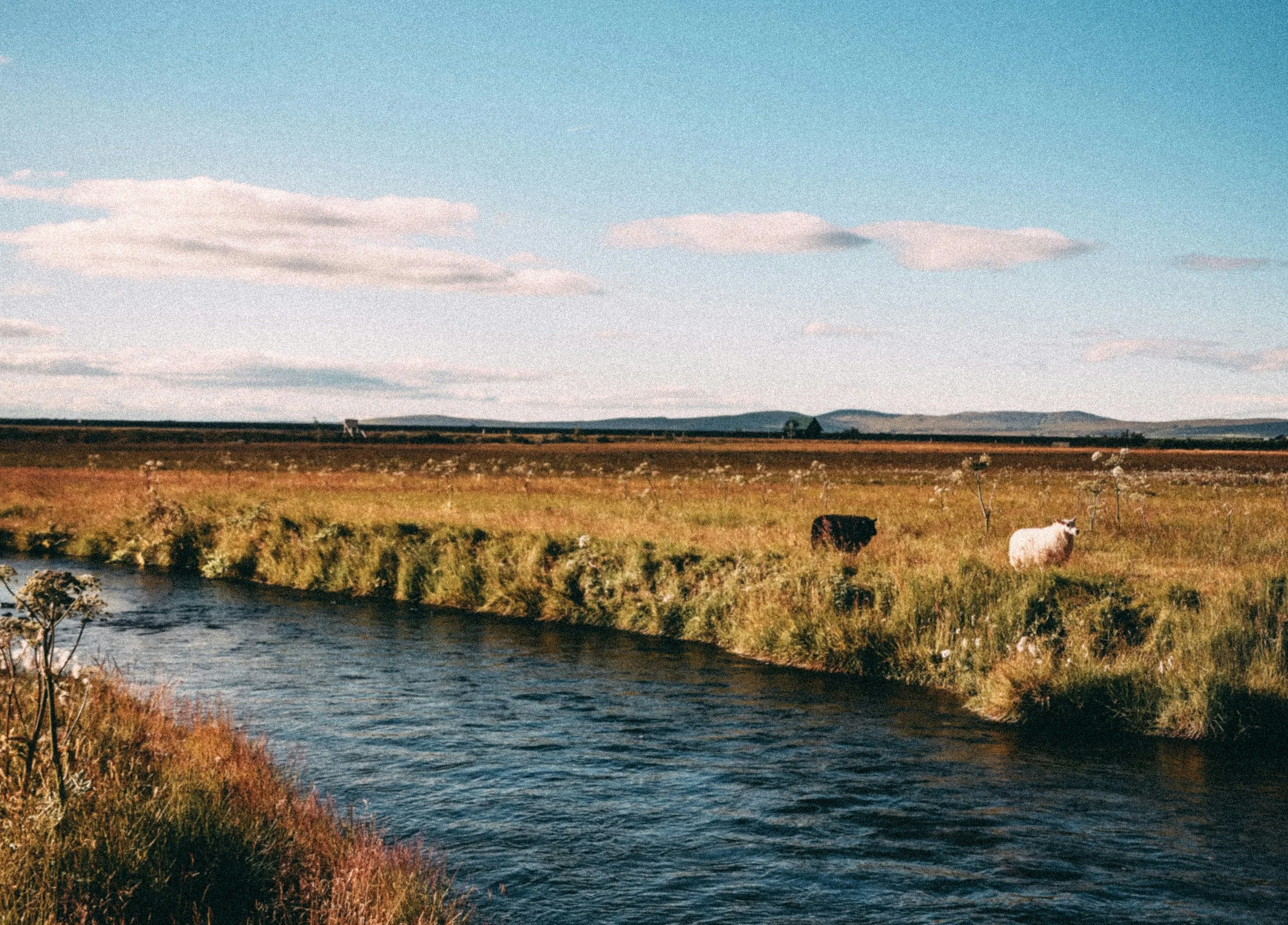 Conserving Agricultural Water Rights: The Role of Conservation Easements