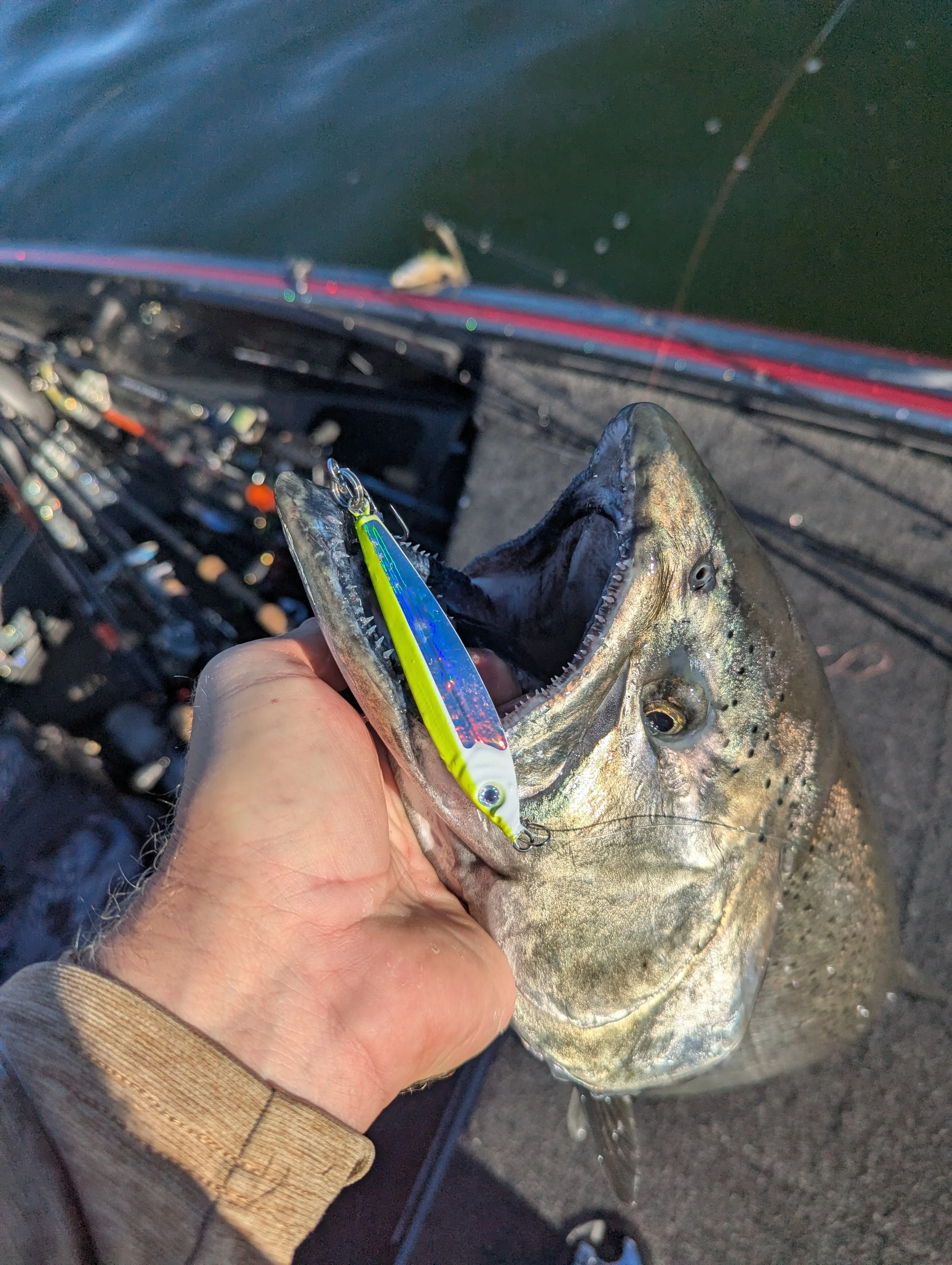 King Salmon Jigging P-Line Laser Minnow