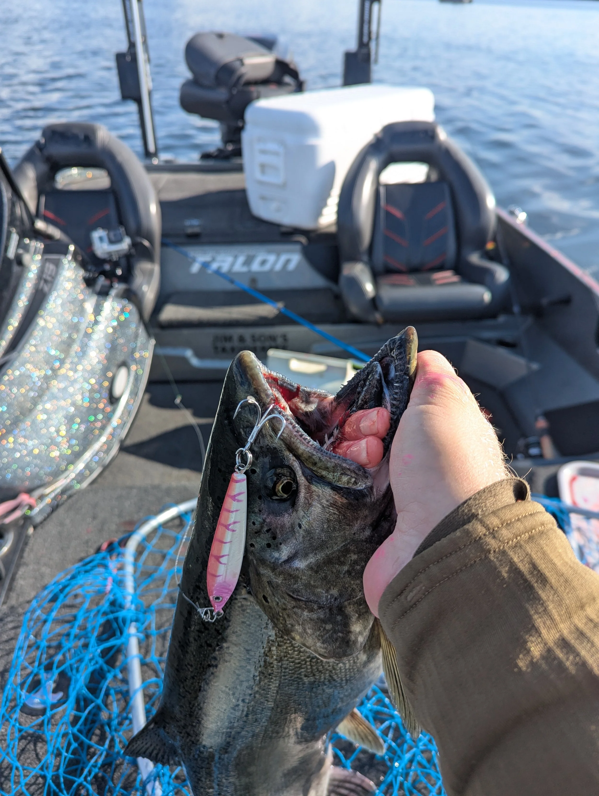 Pink P-Line Laser Minnow