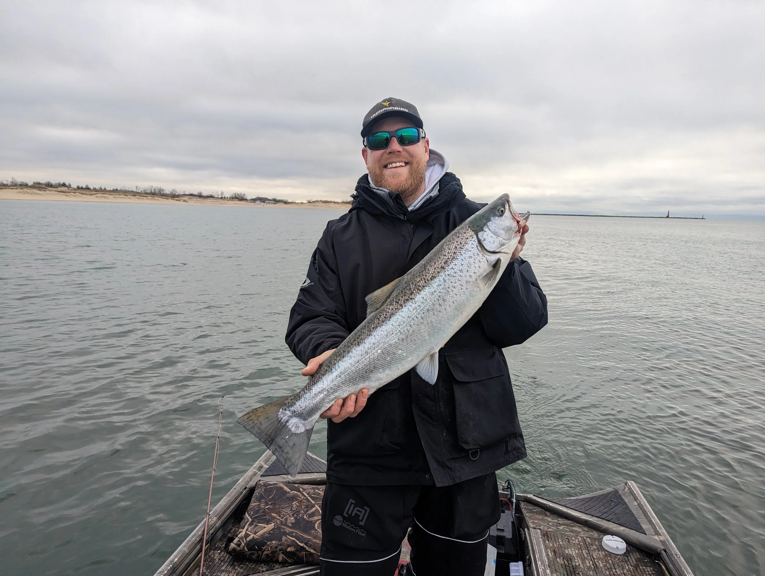  Brown trout Muskegon Michigan 