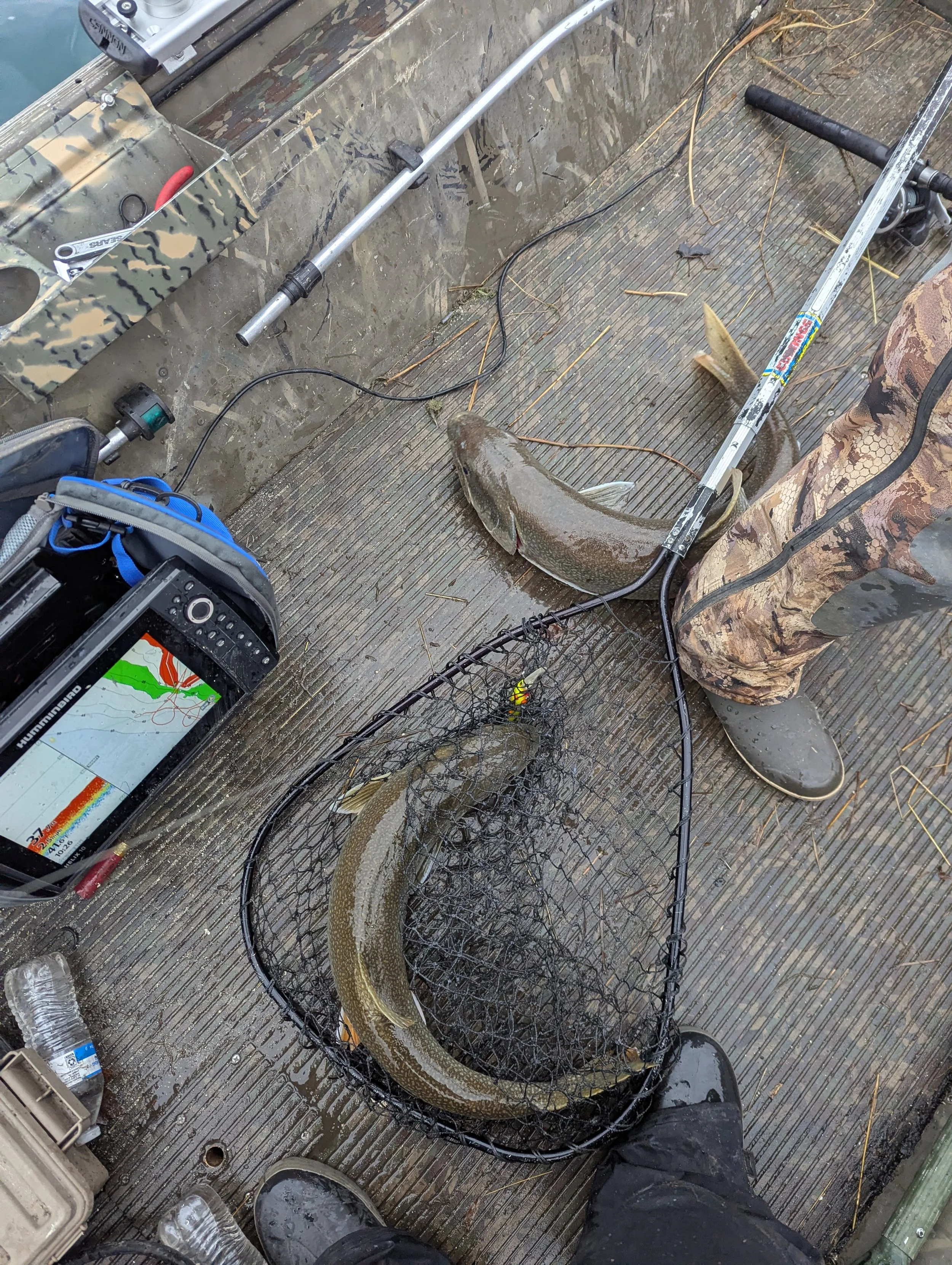  January Lake Trout Lake Michigan 