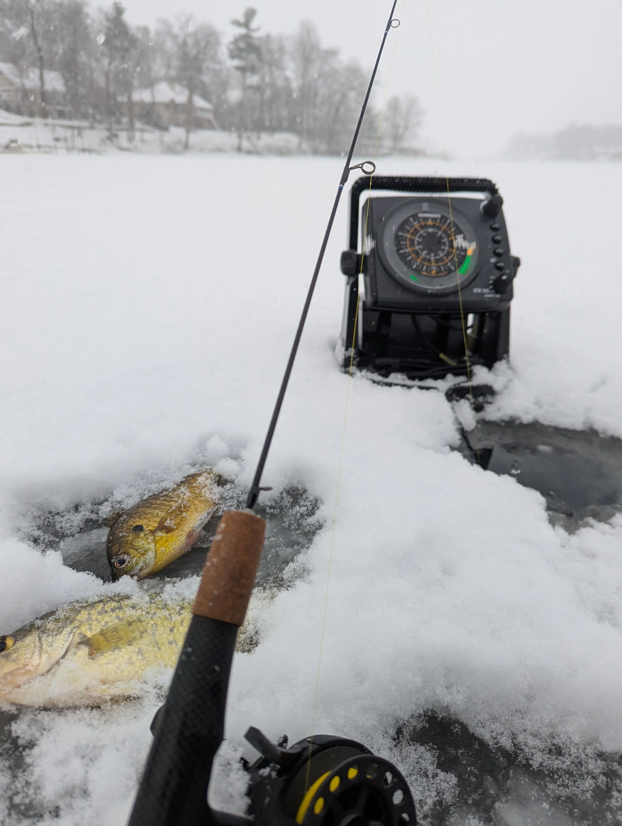  Lloyds Bayou Bluegill and crappie 