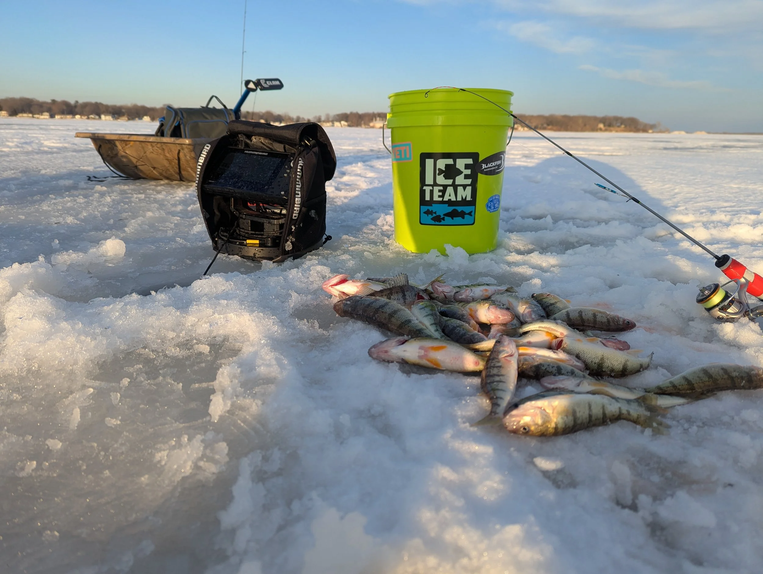 12 Month West Michigan Fishing Calendar - January