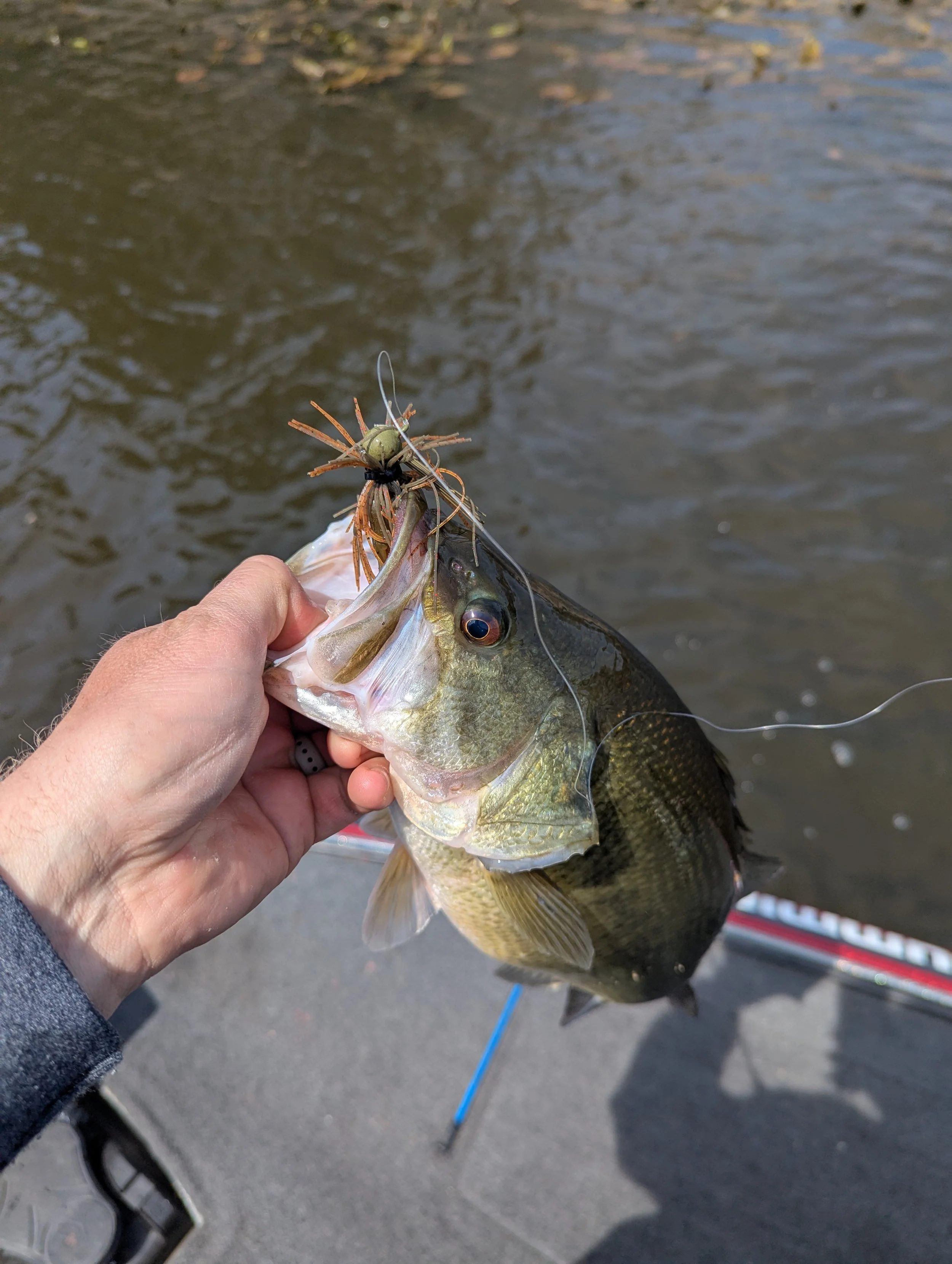 12 Month West Michigan Fishing Calendar - April