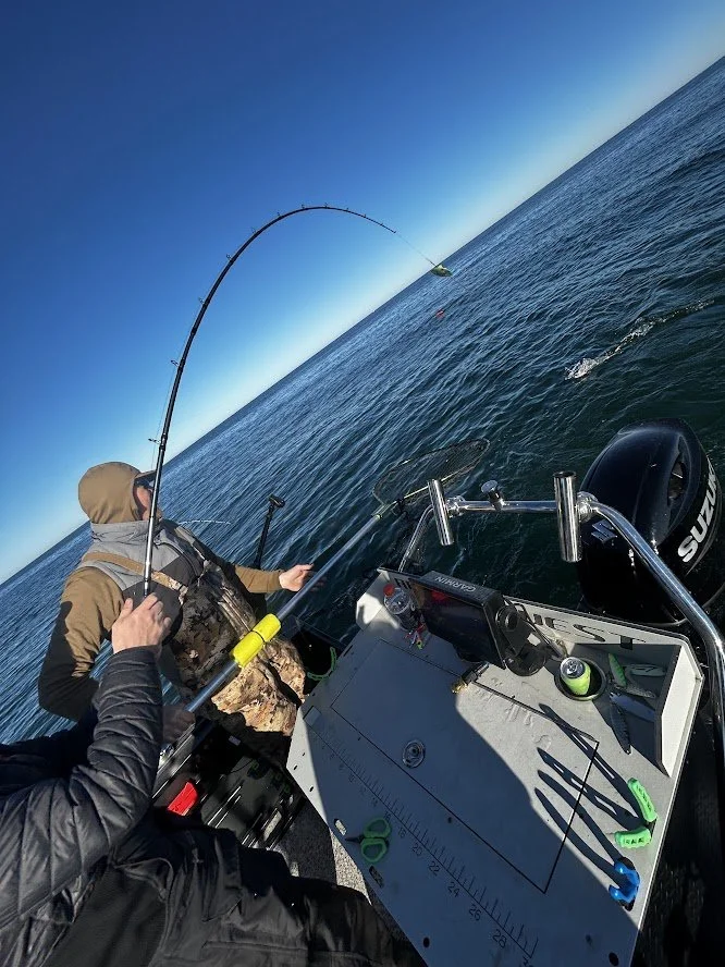 May king salmon fishing Lake Michigan 