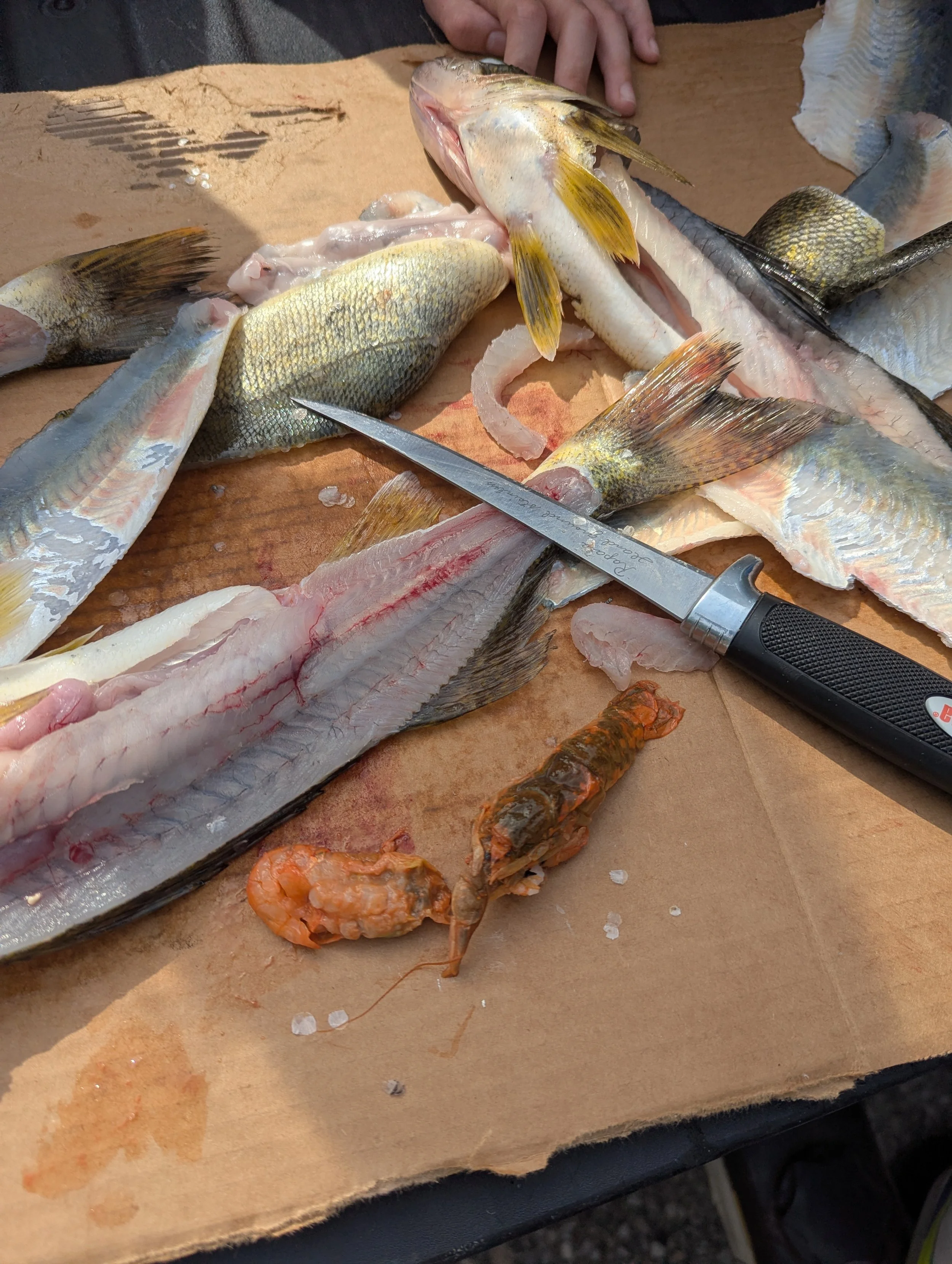 South Lake Leelanau Fishing Report