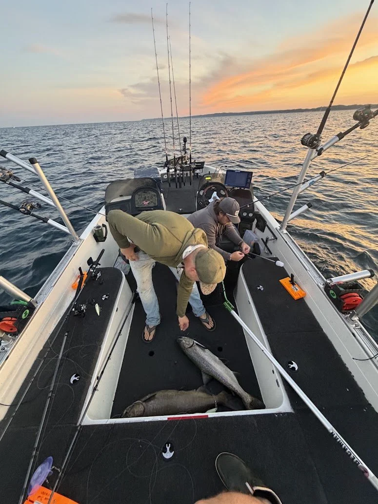 Lake Michigan Salmon 