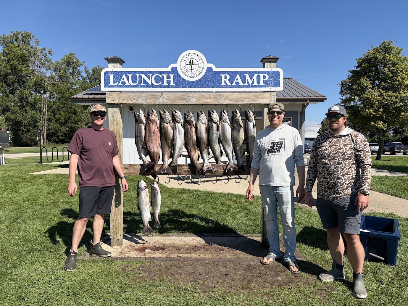  Lake Michigan salmon 
