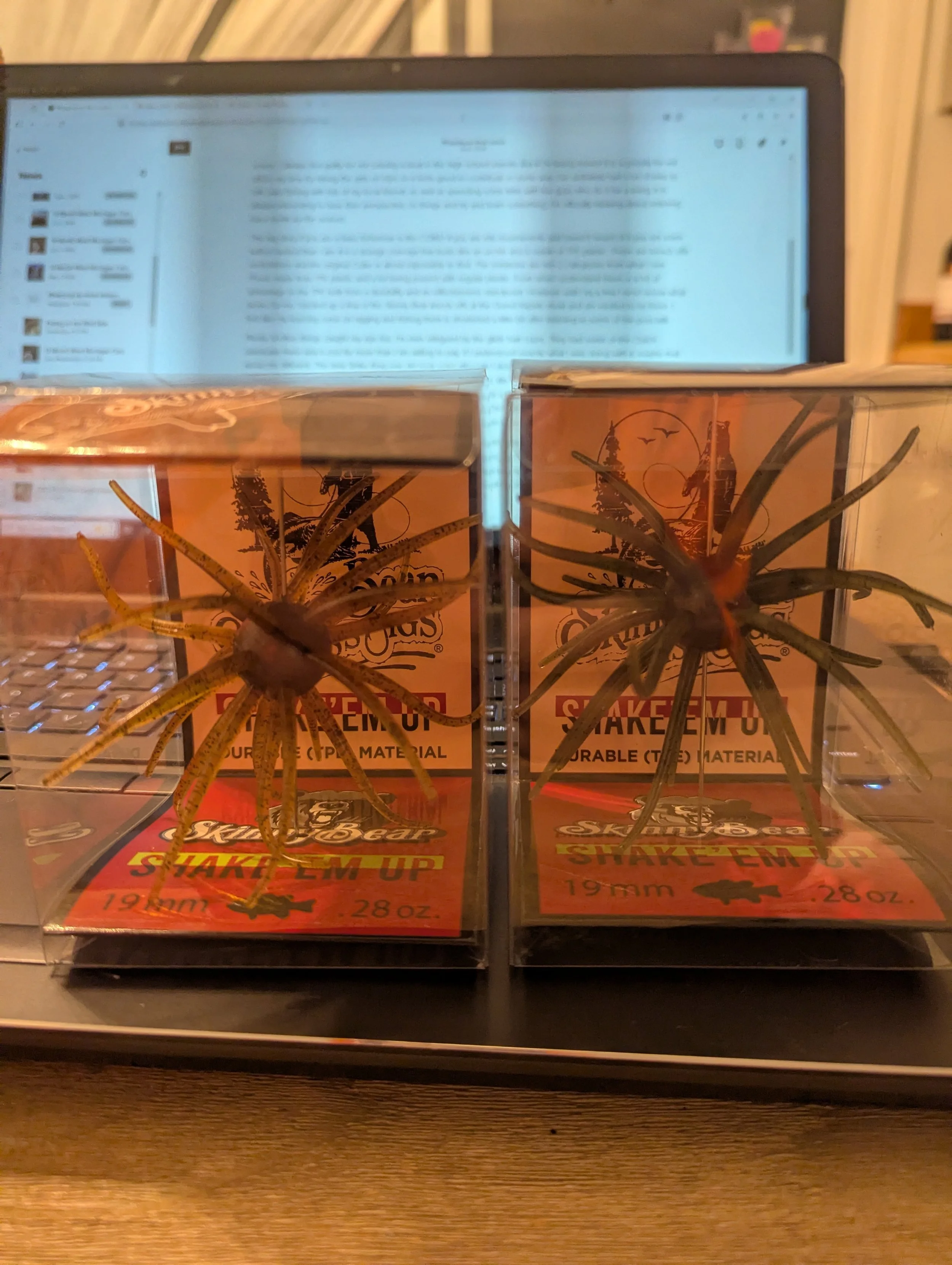 Skinny Bear shake em up