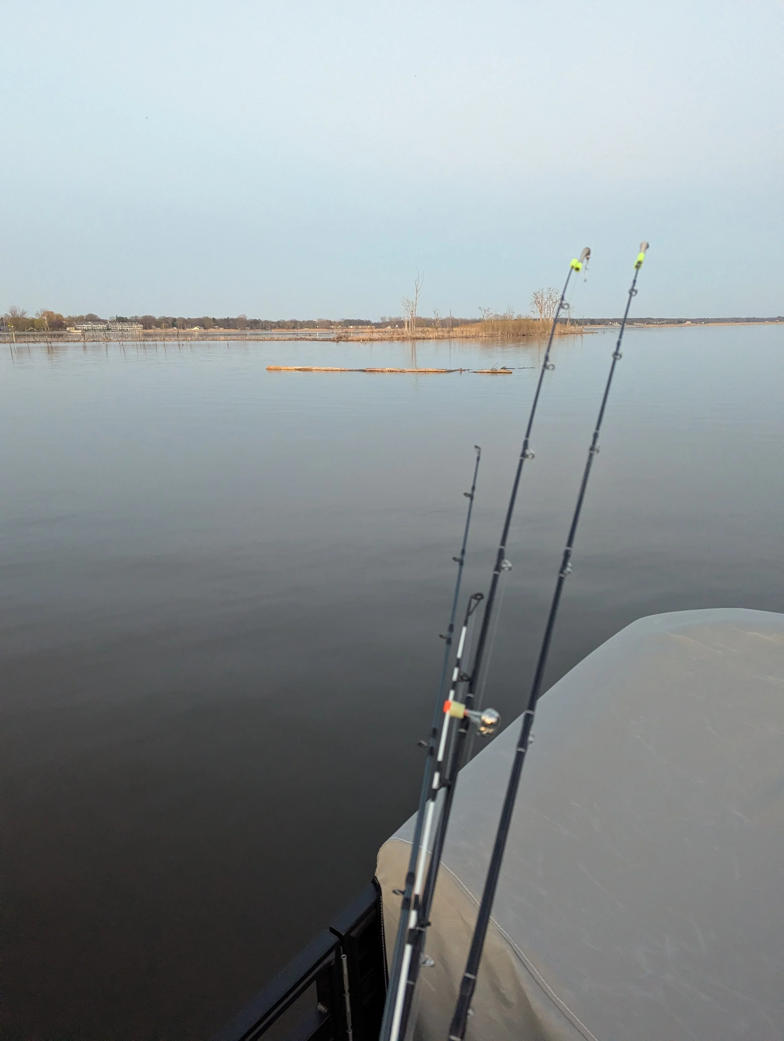 Floating Log Grand River