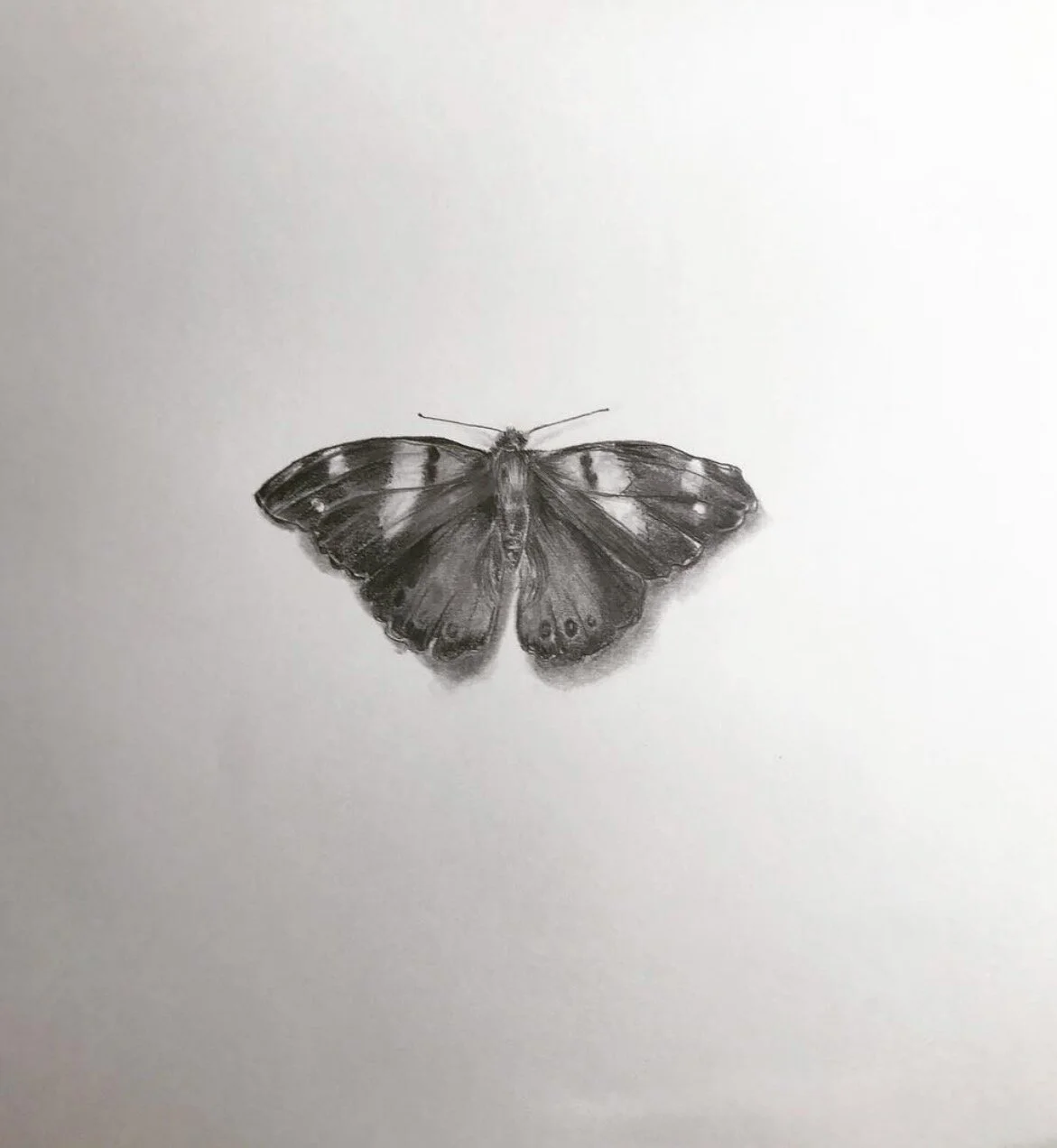 Screenshot 2021-03-11 at 7.20.50 am.jpeg