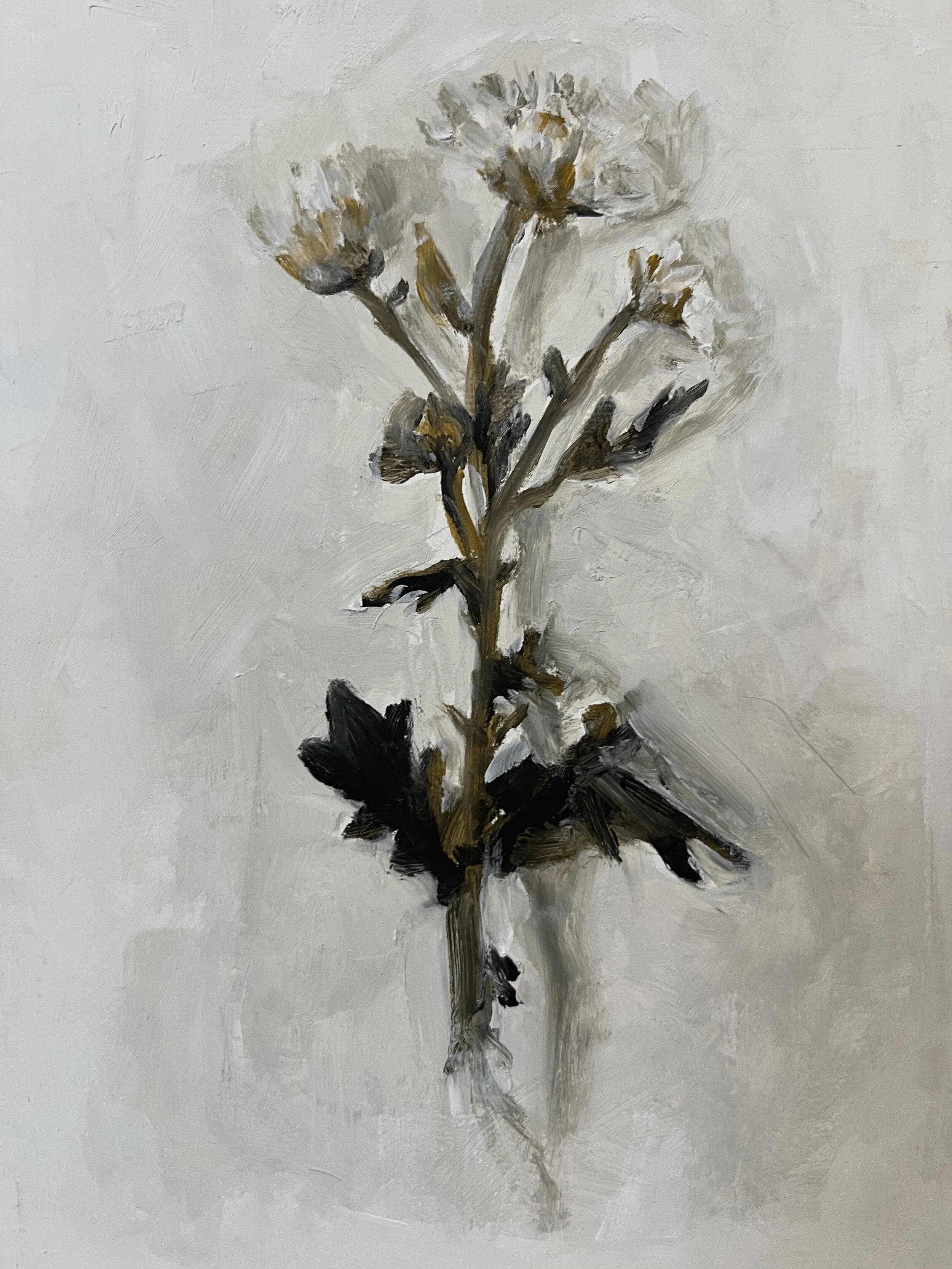 U n t i t l e d.  [6" x 8"] Oil on board 2021