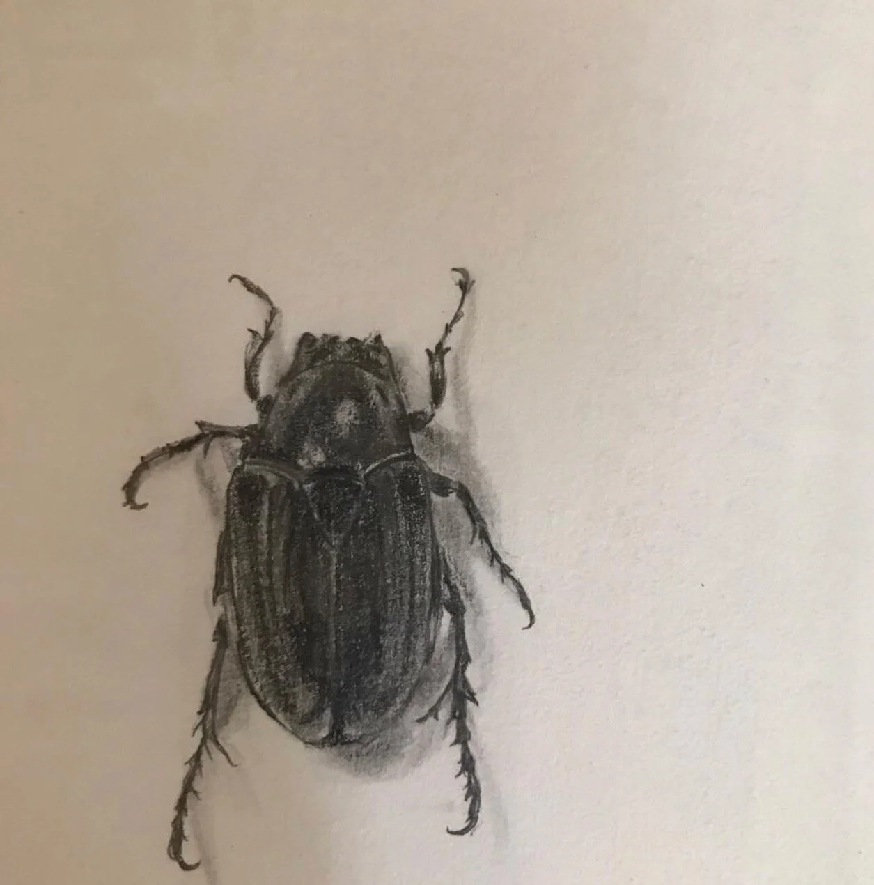 Screenshot 2021-03-11 at 7.19.13 am.jpeg