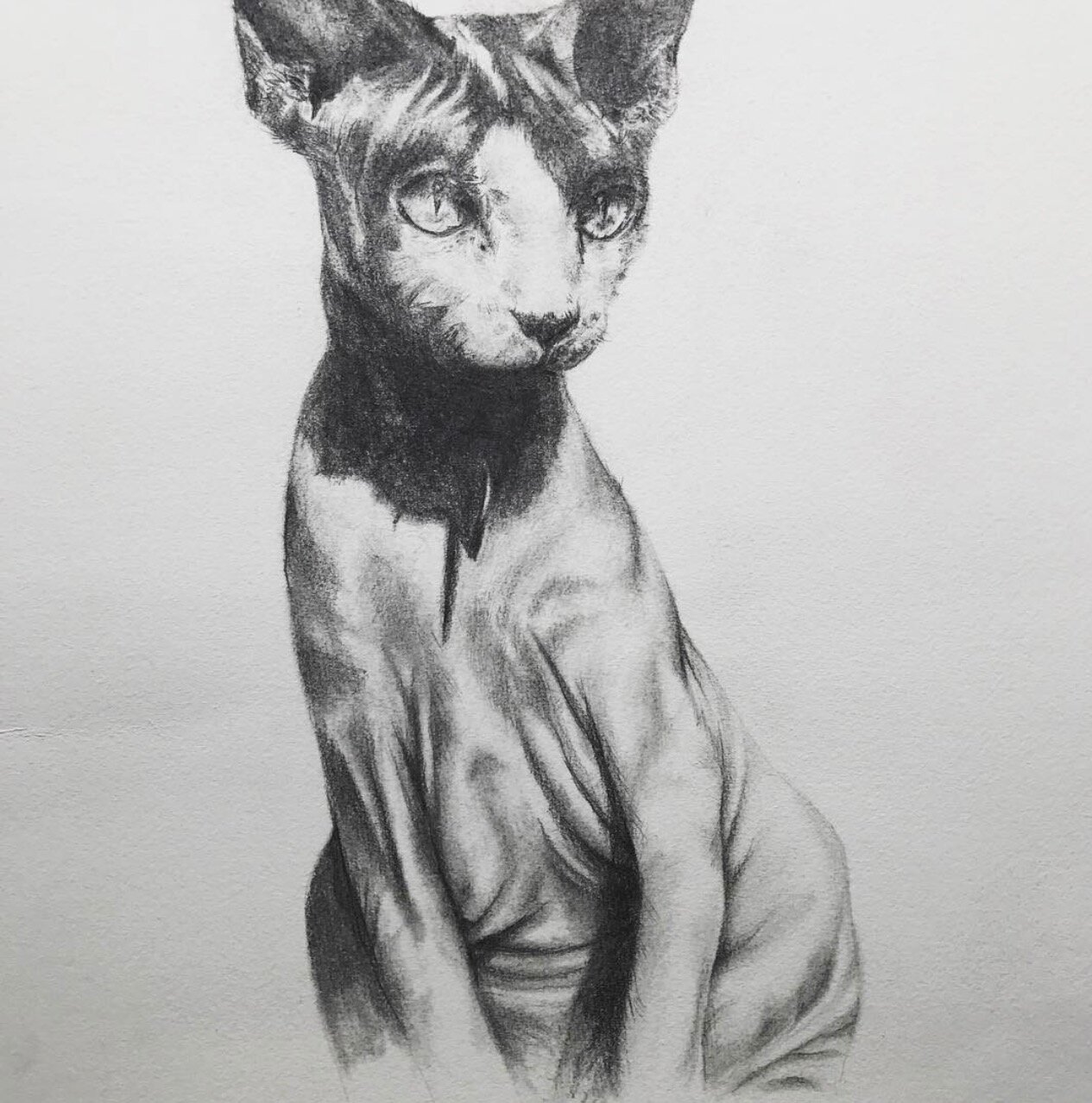 Screenshot 2021-03-11 at 7.19.38 am.jpeg