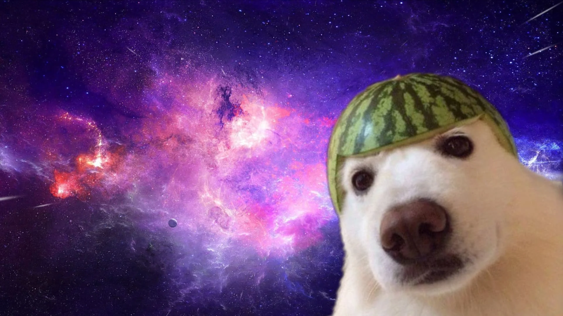 Meme Wallpapers 1080p