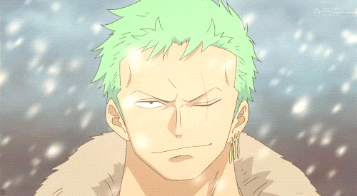 Zoro's Confident Smile