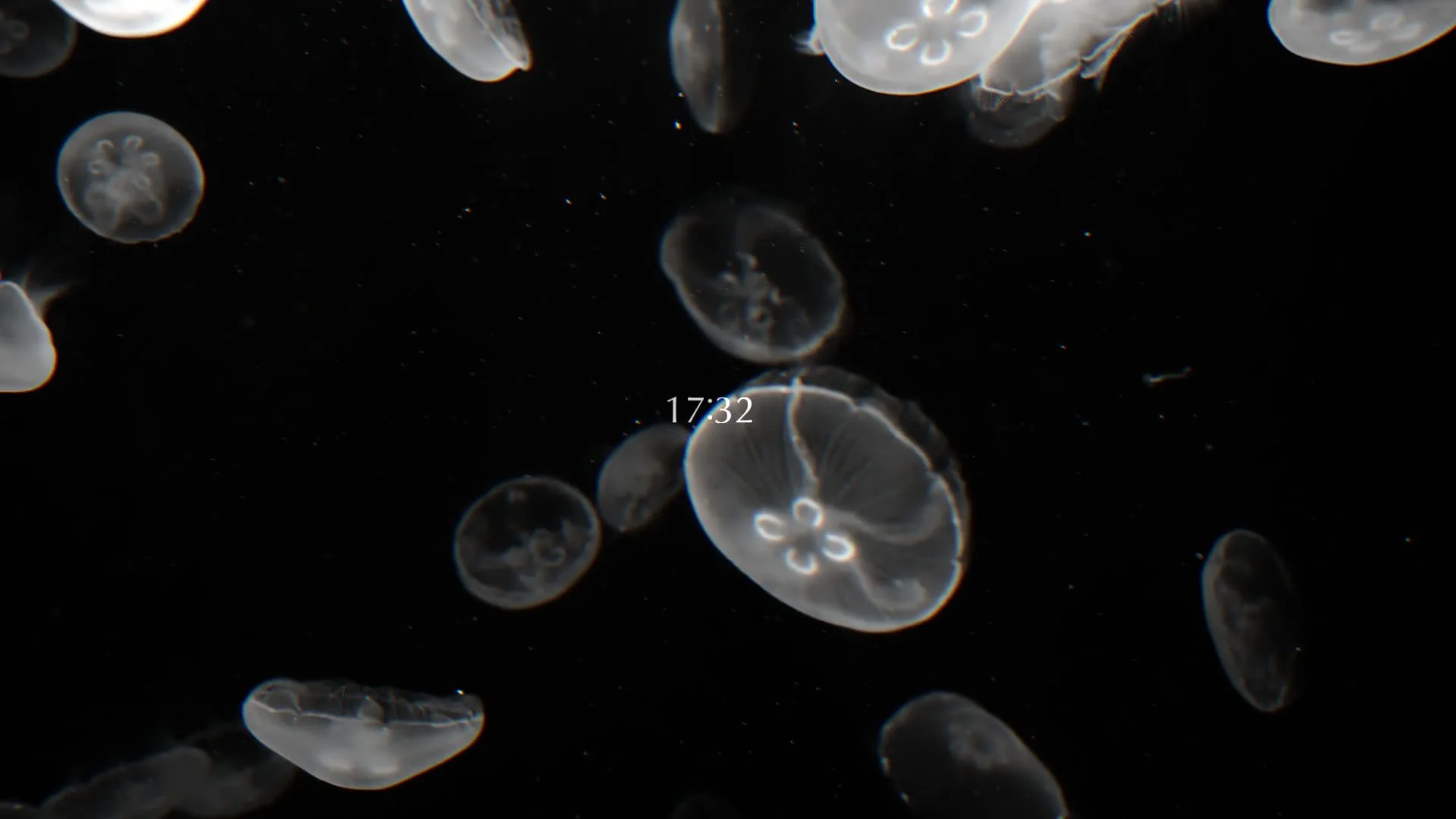 Best Black & White Wallpapers on Wallpaper Engine — Wallpaper Engine Space