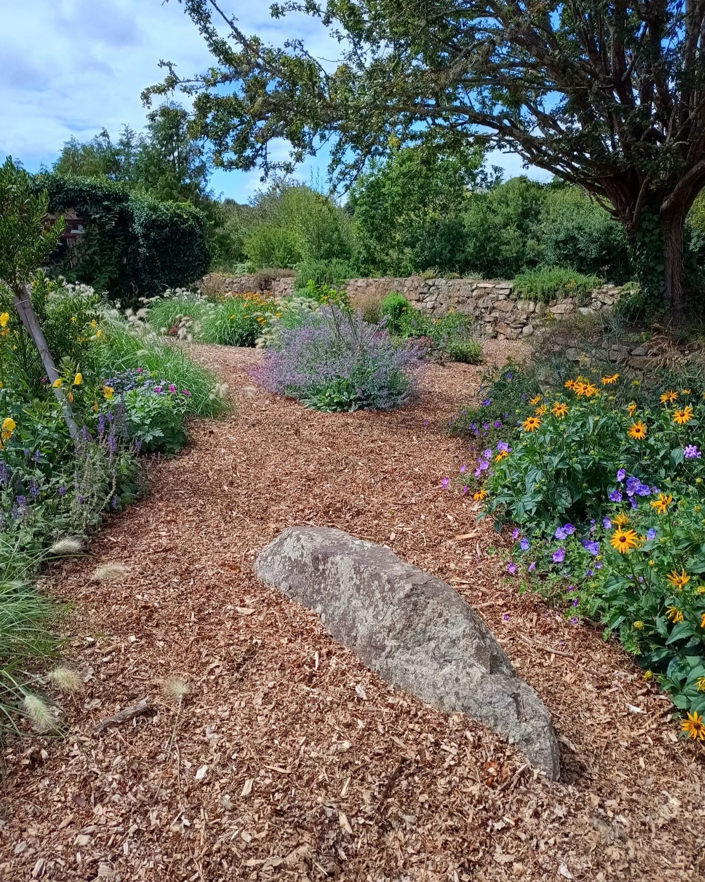 What a difference a single season makes! From lawn to a buzzing pollinator banquet.
Swipe to see the transformation from the &lsquo;before&rsquo; photo, to directly after planting in Spring last year, to growth in the first summer.
I&rsquo;m incredib