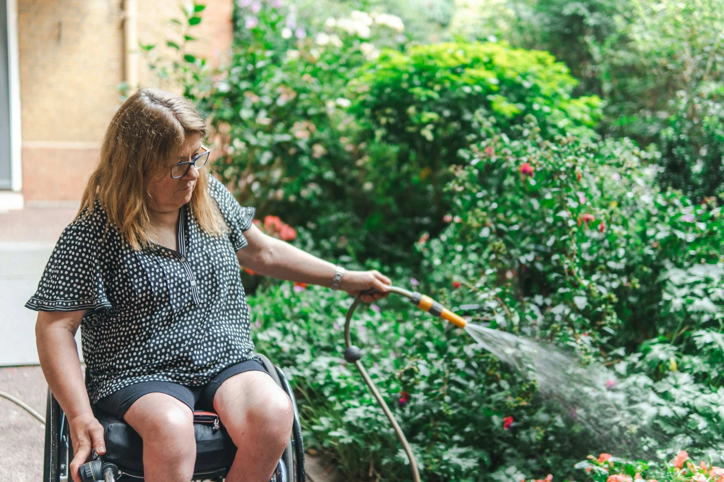 Accessible Garden Design on a Budget - A quickish read