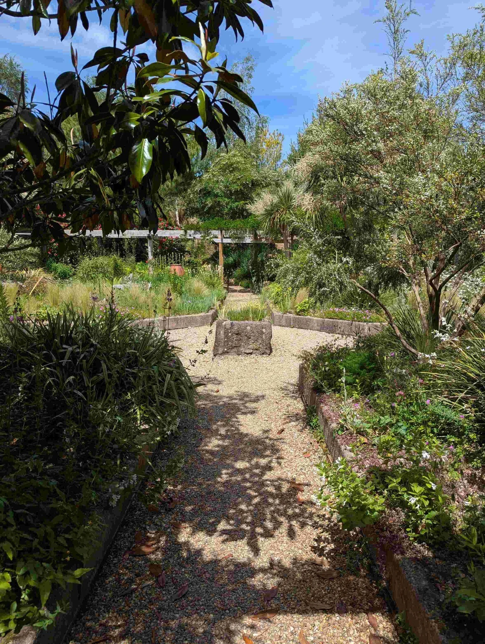 Post 2/3
A few pictures of the courtyard garden at Wildside, starting to come alive in late spring.  So hard to believe it&rsquo;s in Devon!

@wildsidegarden 
#wildsidegarden  #mediterraneangarden  #droughttolerantplanting  #gardeninspiration  #devon