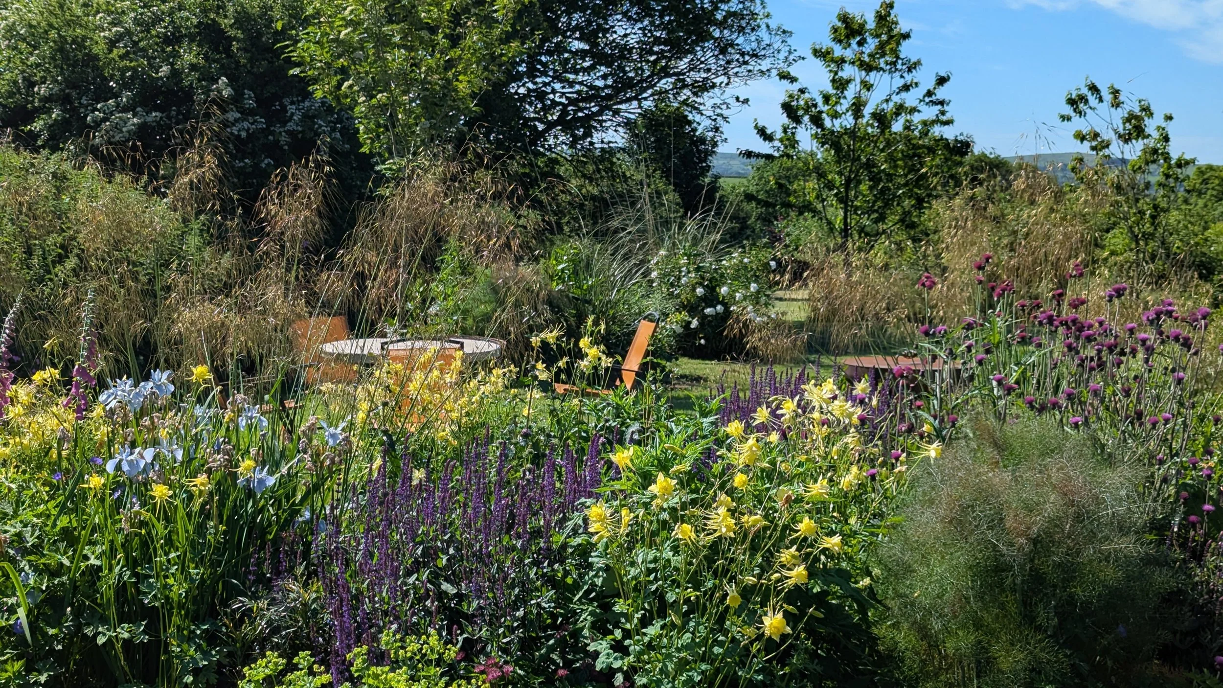 A bed I designed and planted last spring for a beautiful wildlife-friendly country garden. It's already looking quite established. The Cirsium rivulare 'Atropurpureum' in particular is absolutely humming with bees, and it's a favourite with the butte