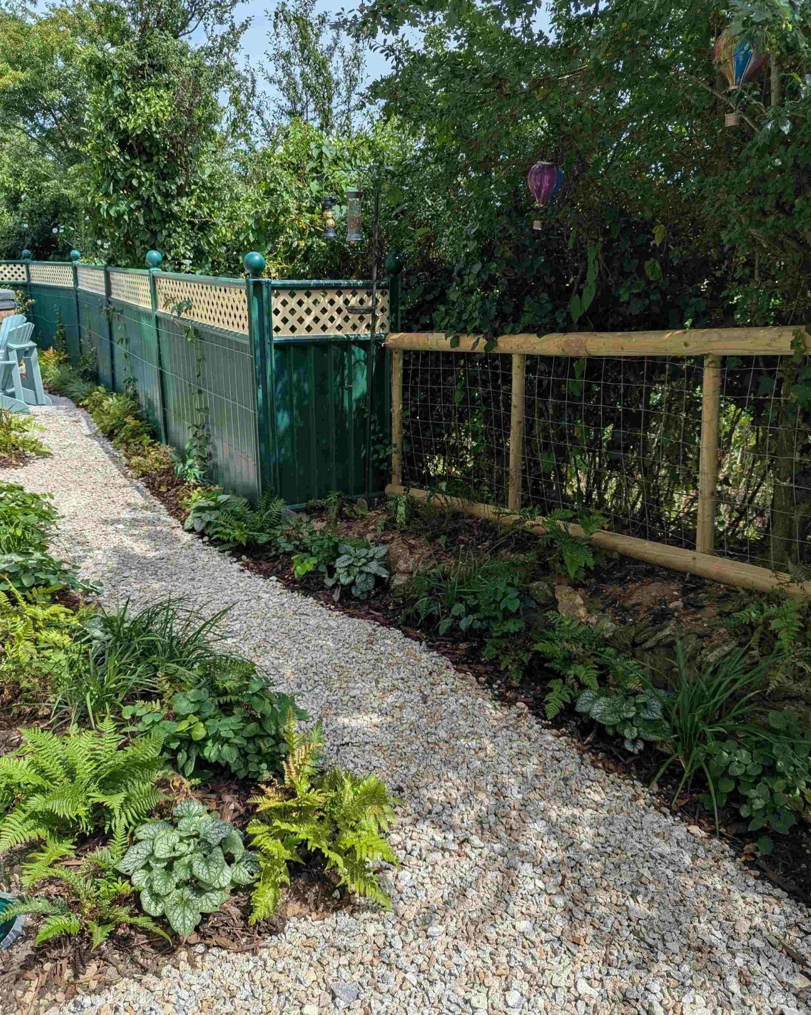 Before and after shots of the &lsquo;woodland walk&rsquo; area of the Eco Build Garden project in North Cornwall completed recently.

This part of the design embraces the existing native hedge which lends an instant sense of maturity to the garden as