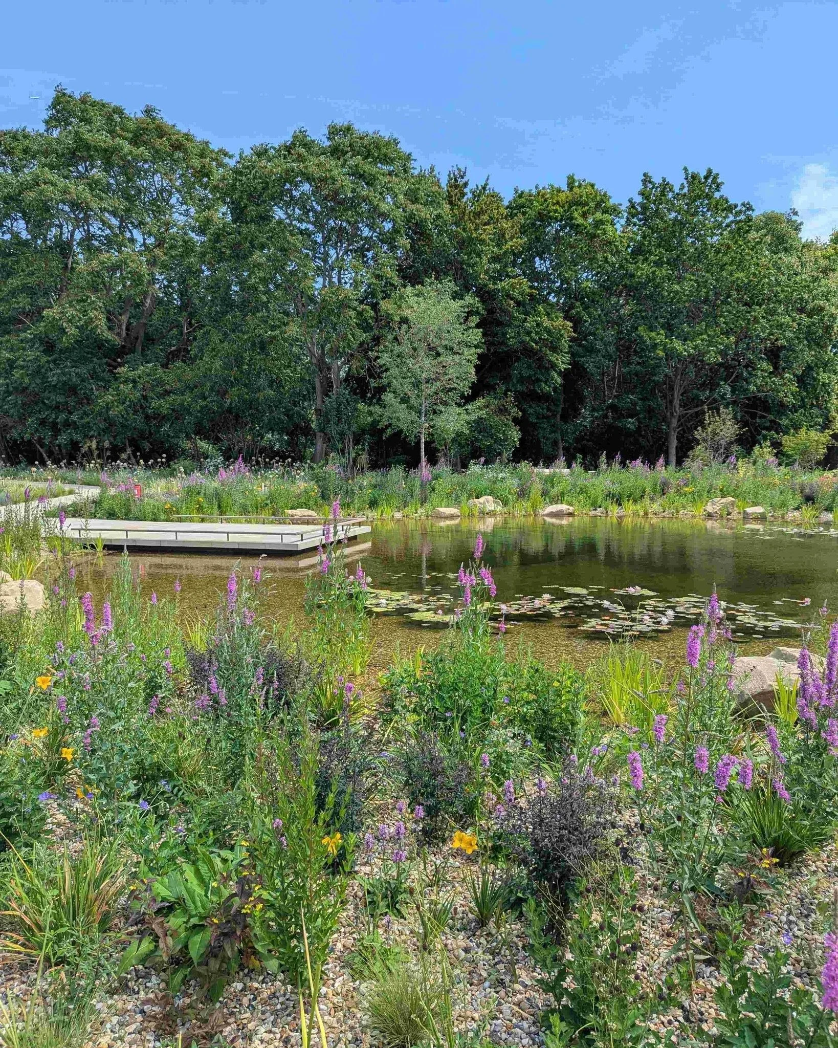 We made a visit to the wonderful new Queen Elizabeth II Garden in London&rsquo;s Regent&rsquo;s Park in late June this year.  I can honestly say it was it was everything I had hoped for and more.

Designed by a team lead by @htadesignllp ,  with plan