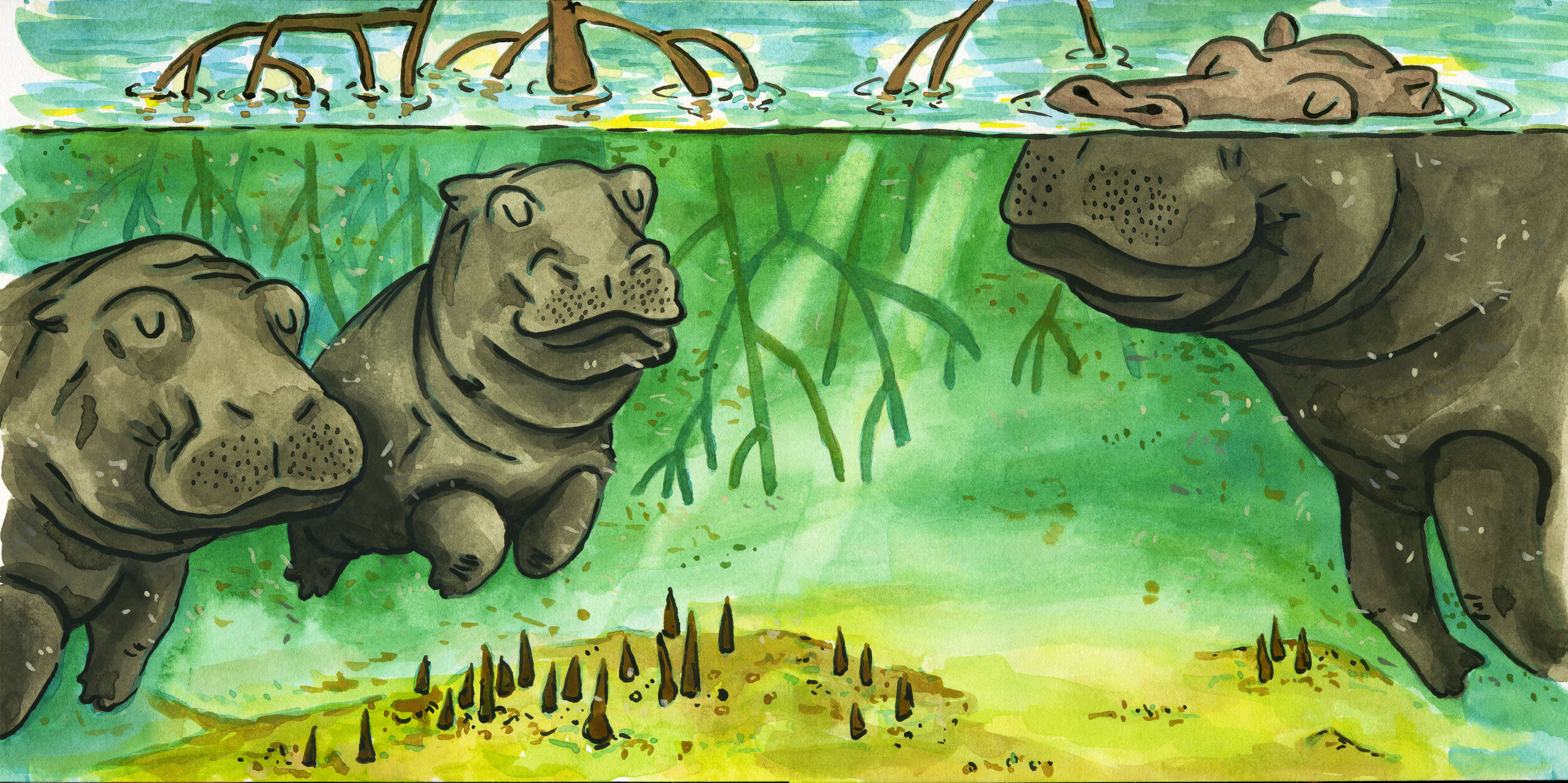 Hippos1-lg.jpg