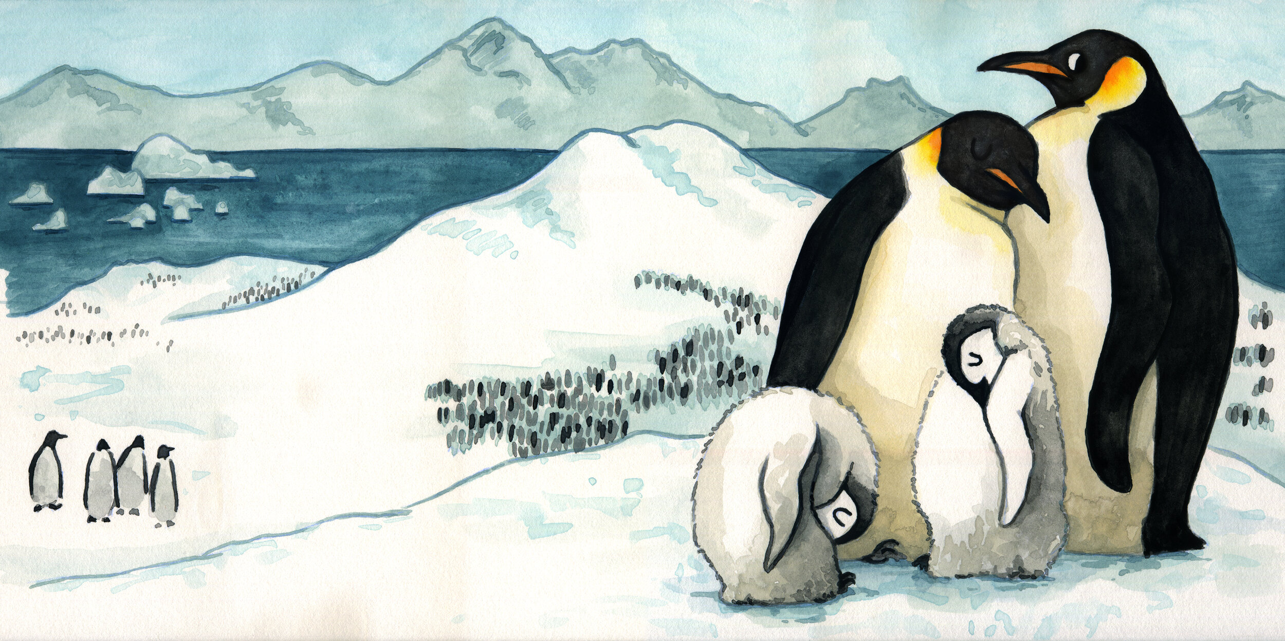 Penguins1-lg.jpg