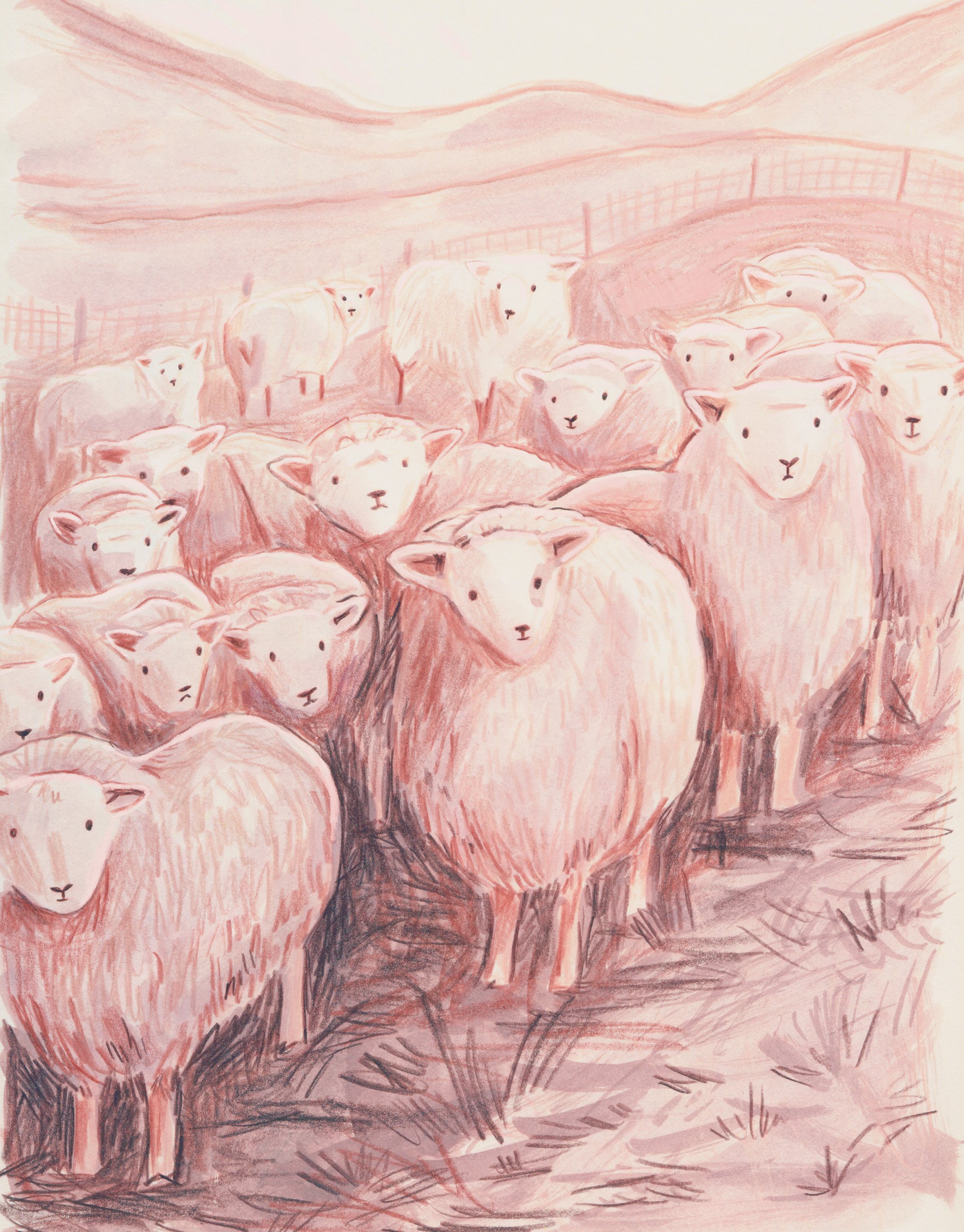 sheep-painting_v2-all.jpg