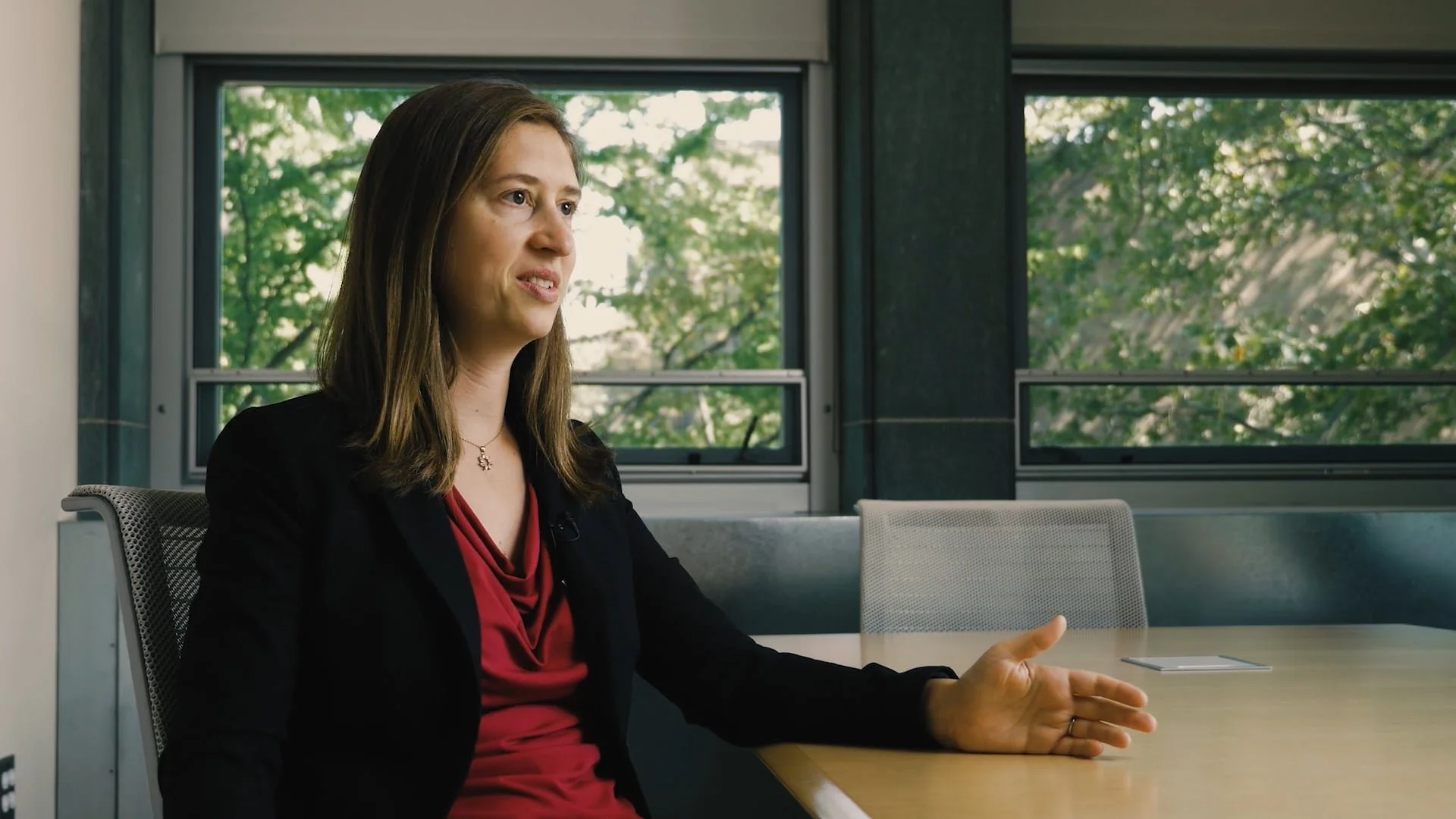 Michigan Institute for Plasma Science and Engineering