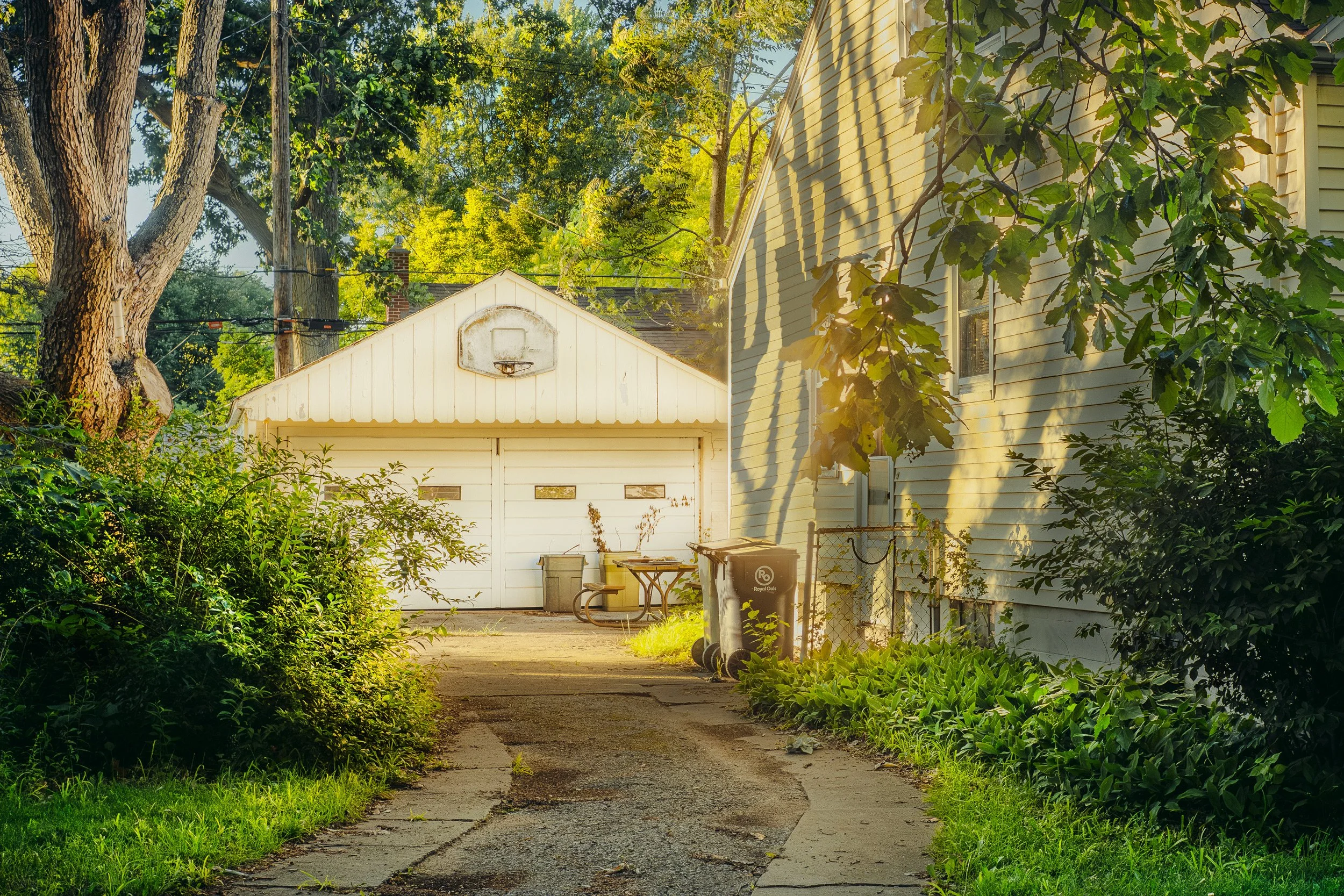 DSCF1232.jpg