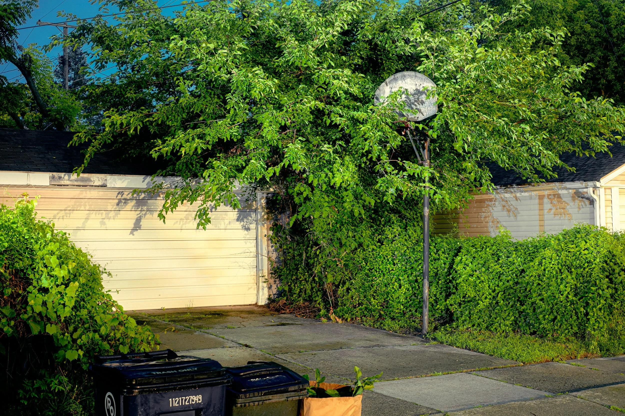 DSCF1556_Compressed 2.jpg