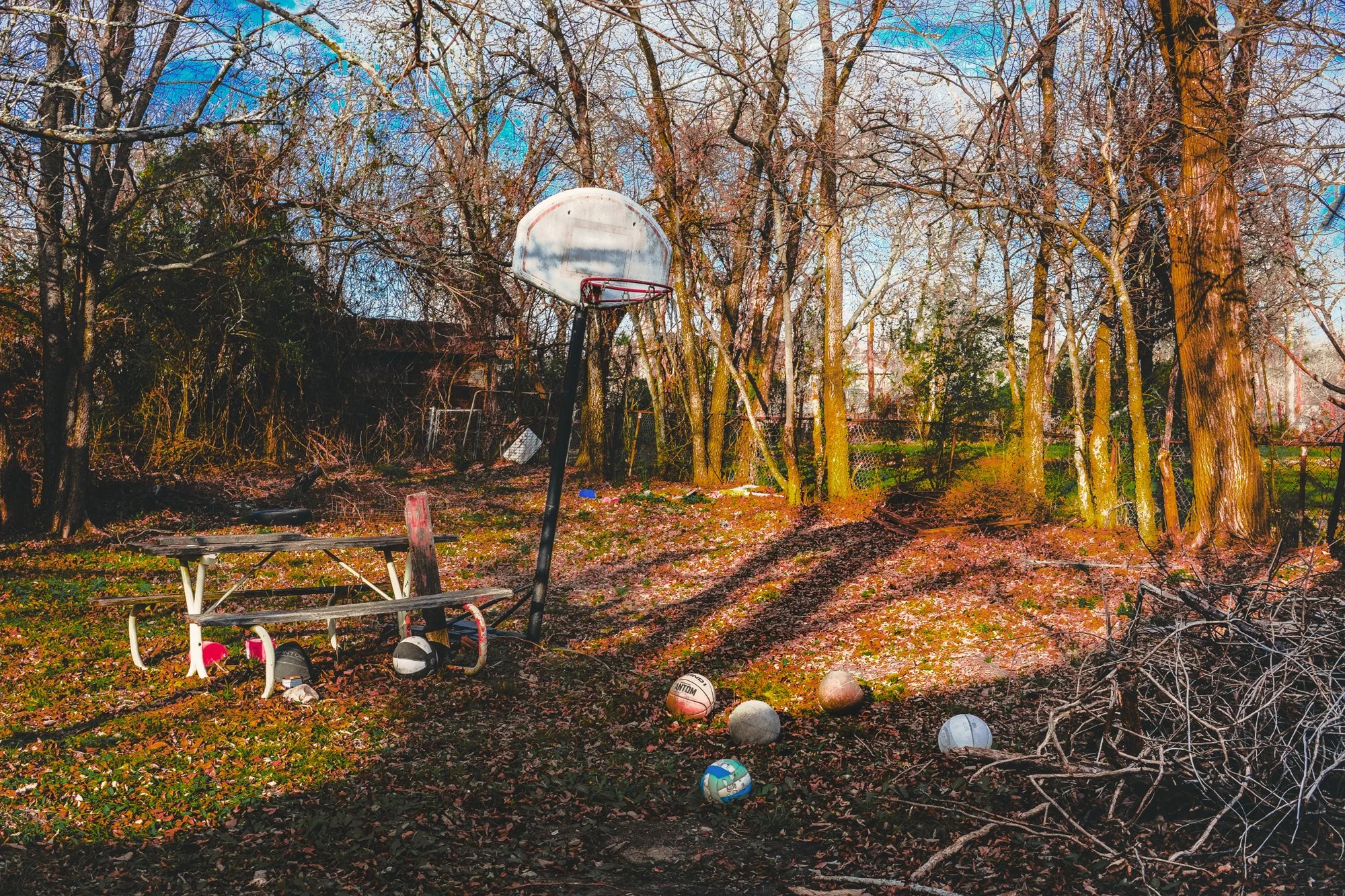 f174649344_compressed 2.jpg