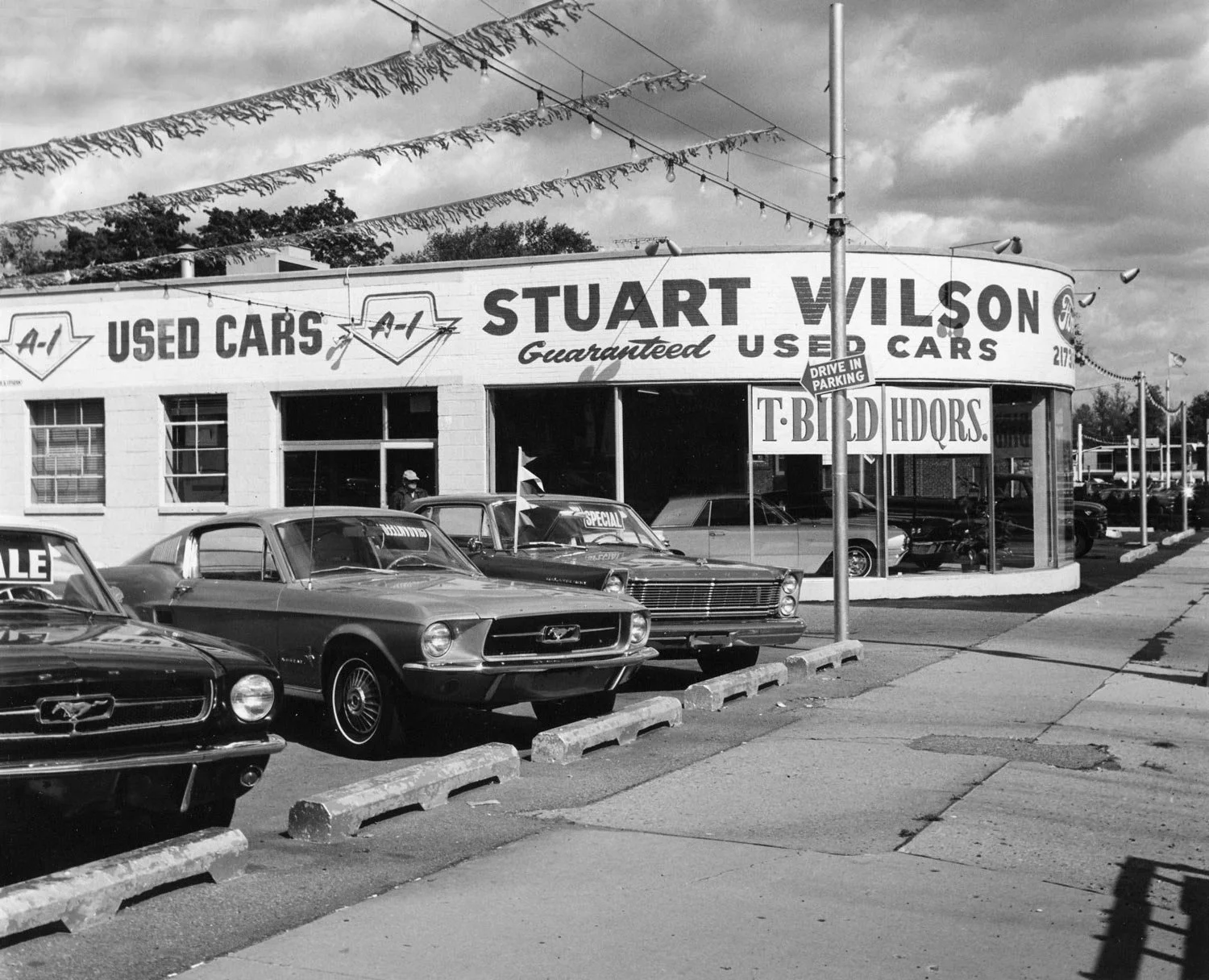 Stuart-Wilson.jpg