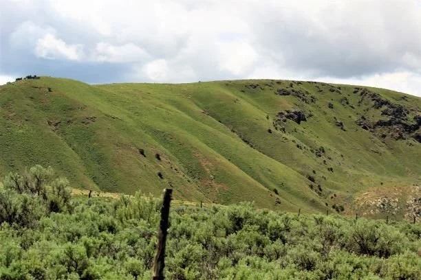 Elko Land 19.jpg