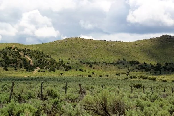 Elko Land 21.jpg