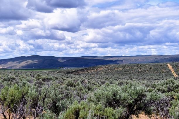 Elko Land 15.jpg