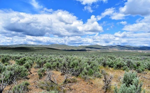 Elko Land 3.jpg