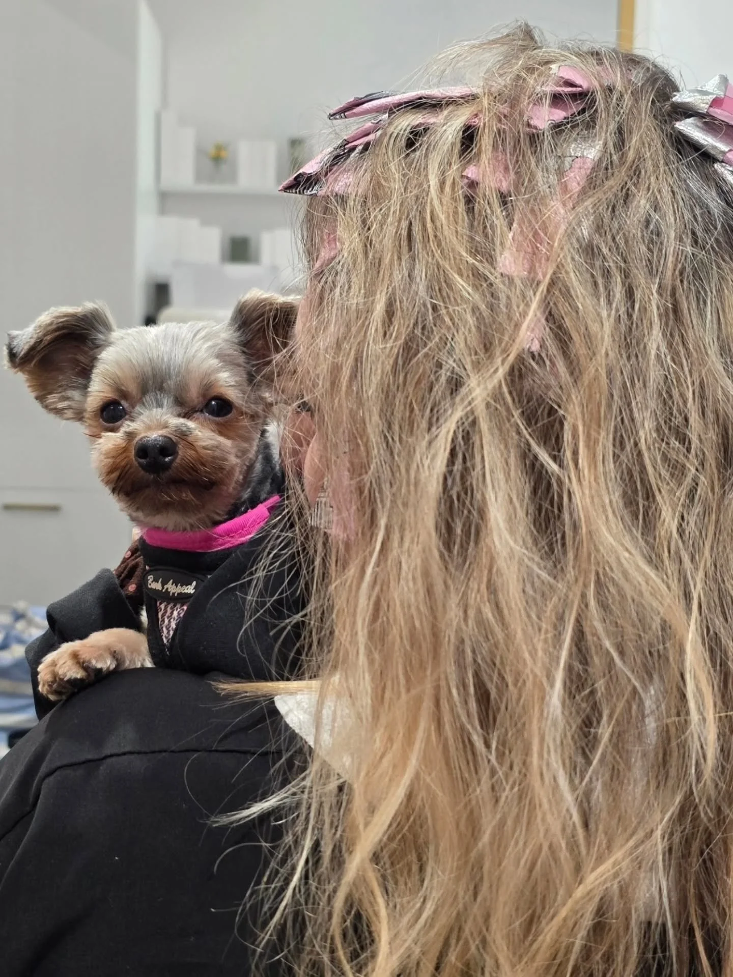 trust the process ✨️