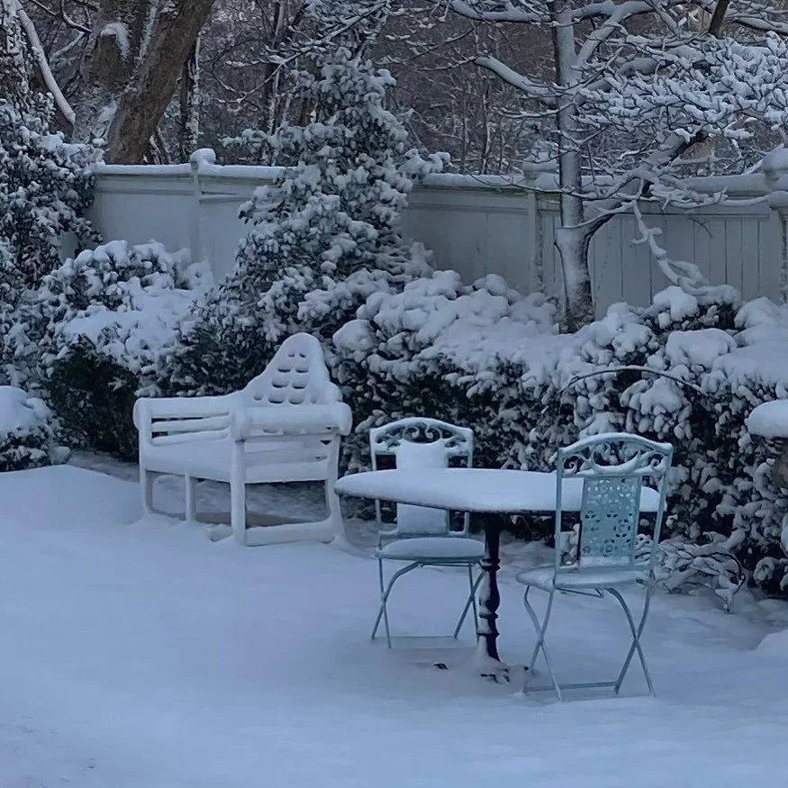 Breakfast in the garden, anyone?