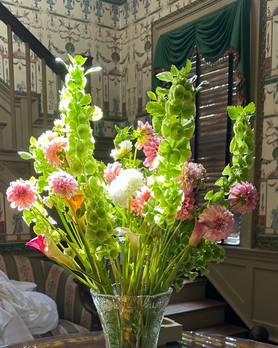 It's the season of green @strawberryhillpetersburg.