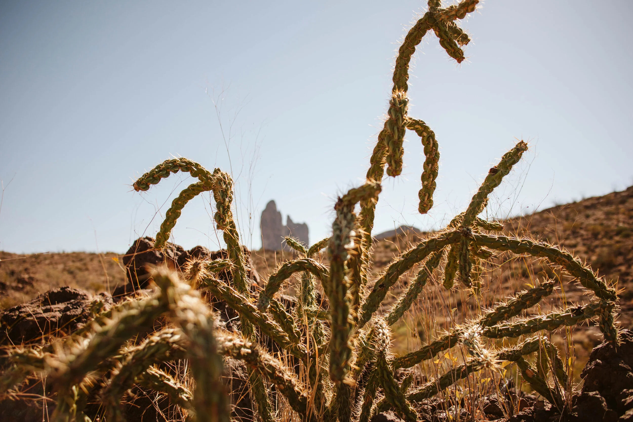 BigBend2020-58.jpg