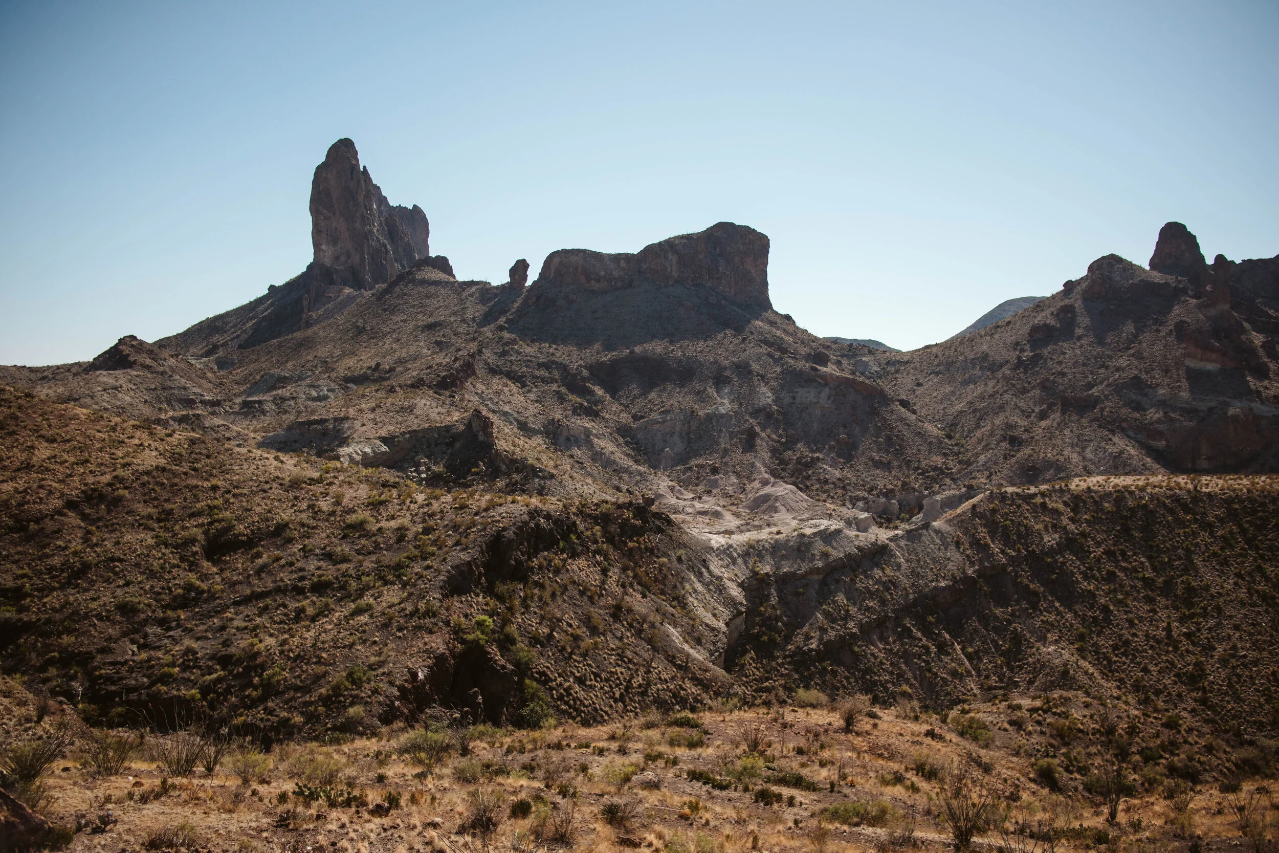 BigBend2020-64.jpg